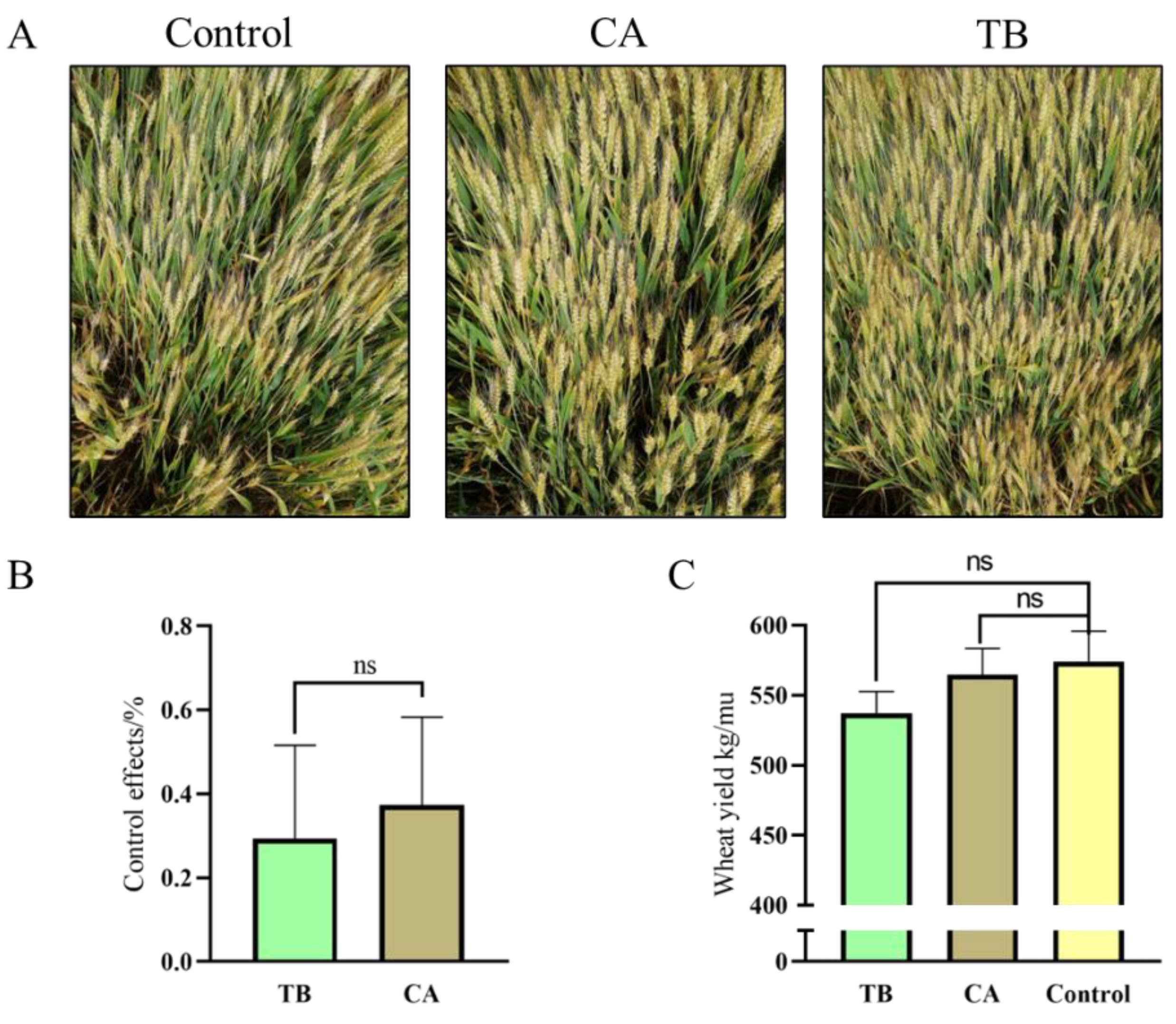 Jof 08 01250 g008 Jof 08 01250 g008