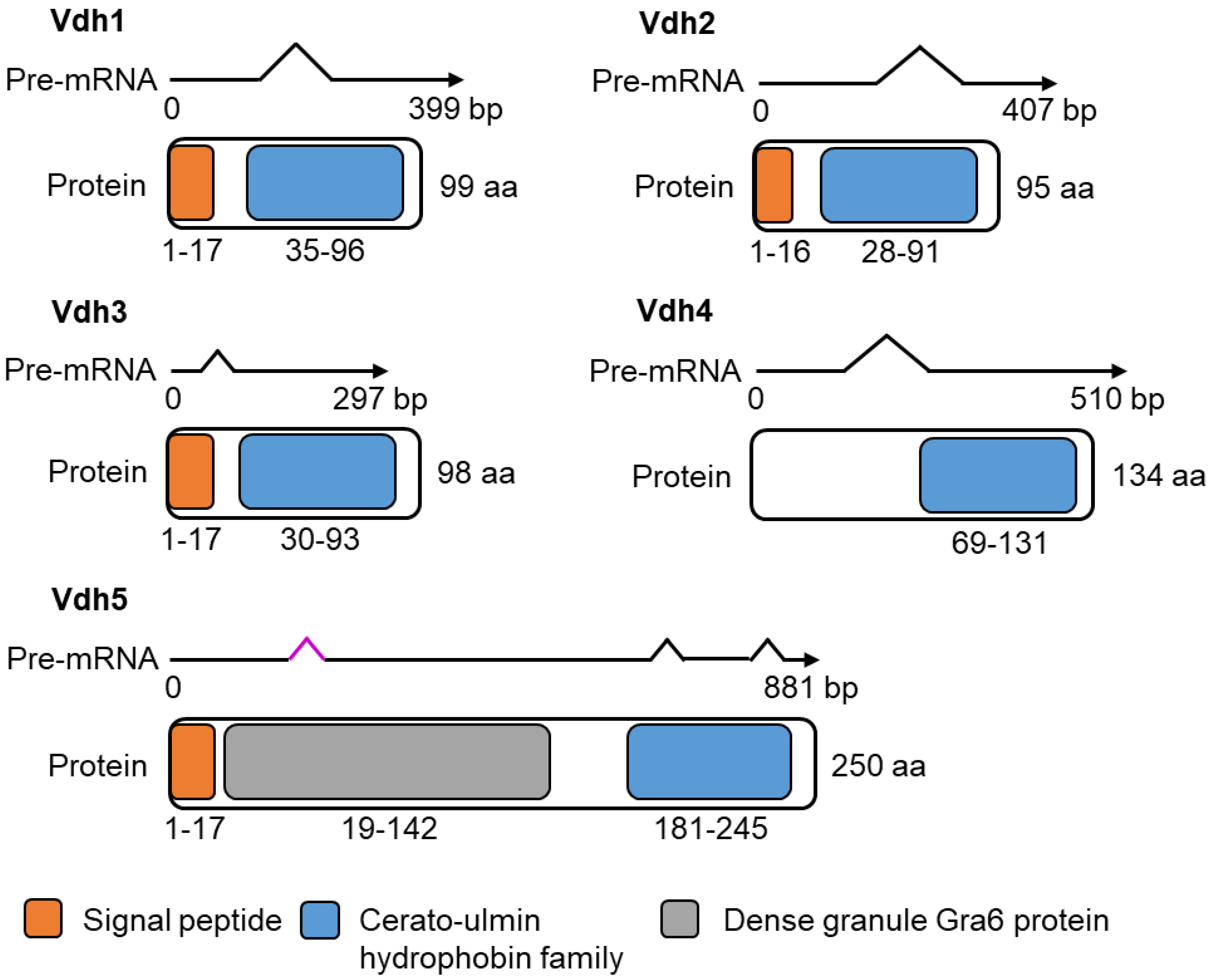 Jof 08 01252 g002 Jof 08 01252 g002