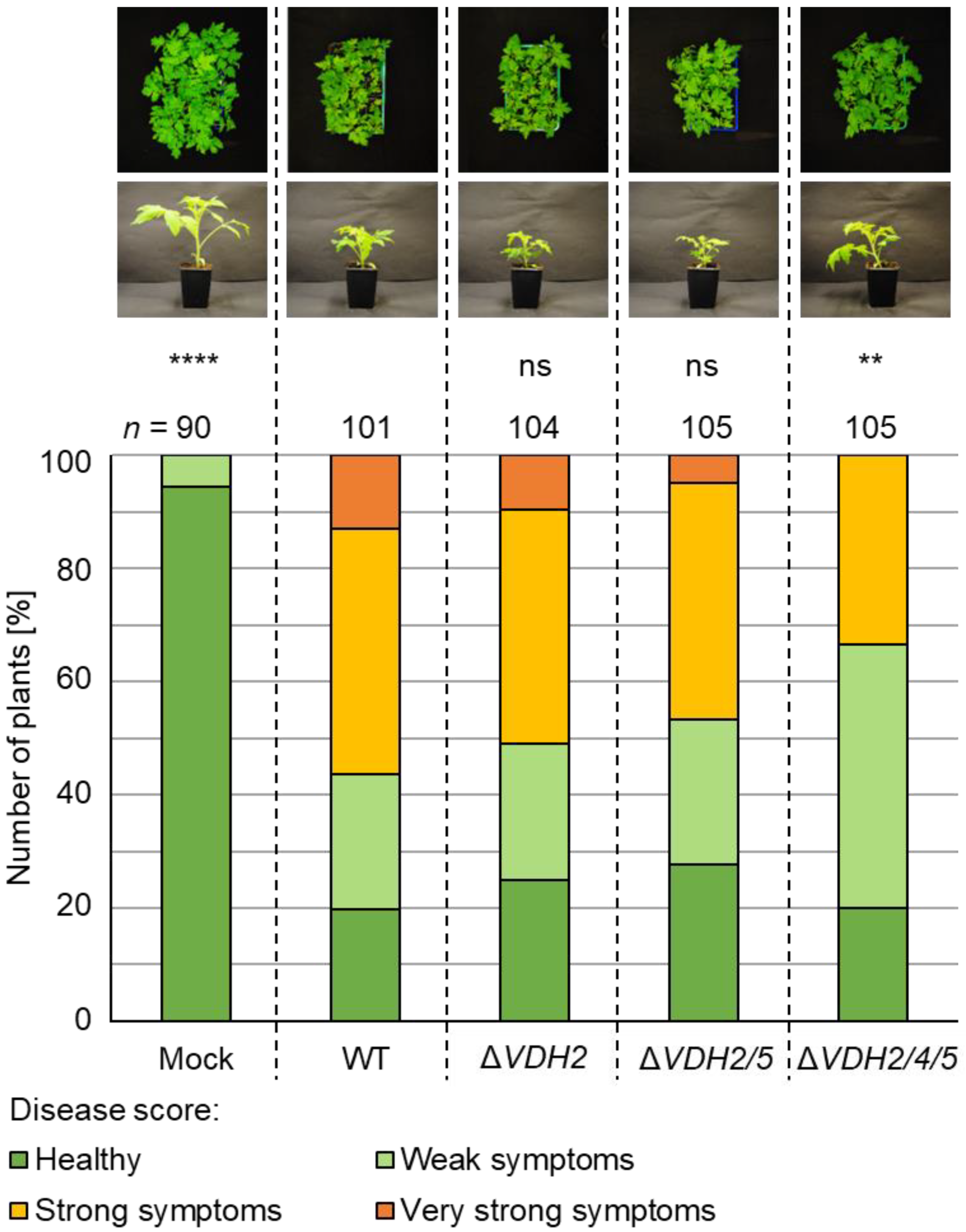 Jof 08 01252 g007 Jof 08 01252 g007