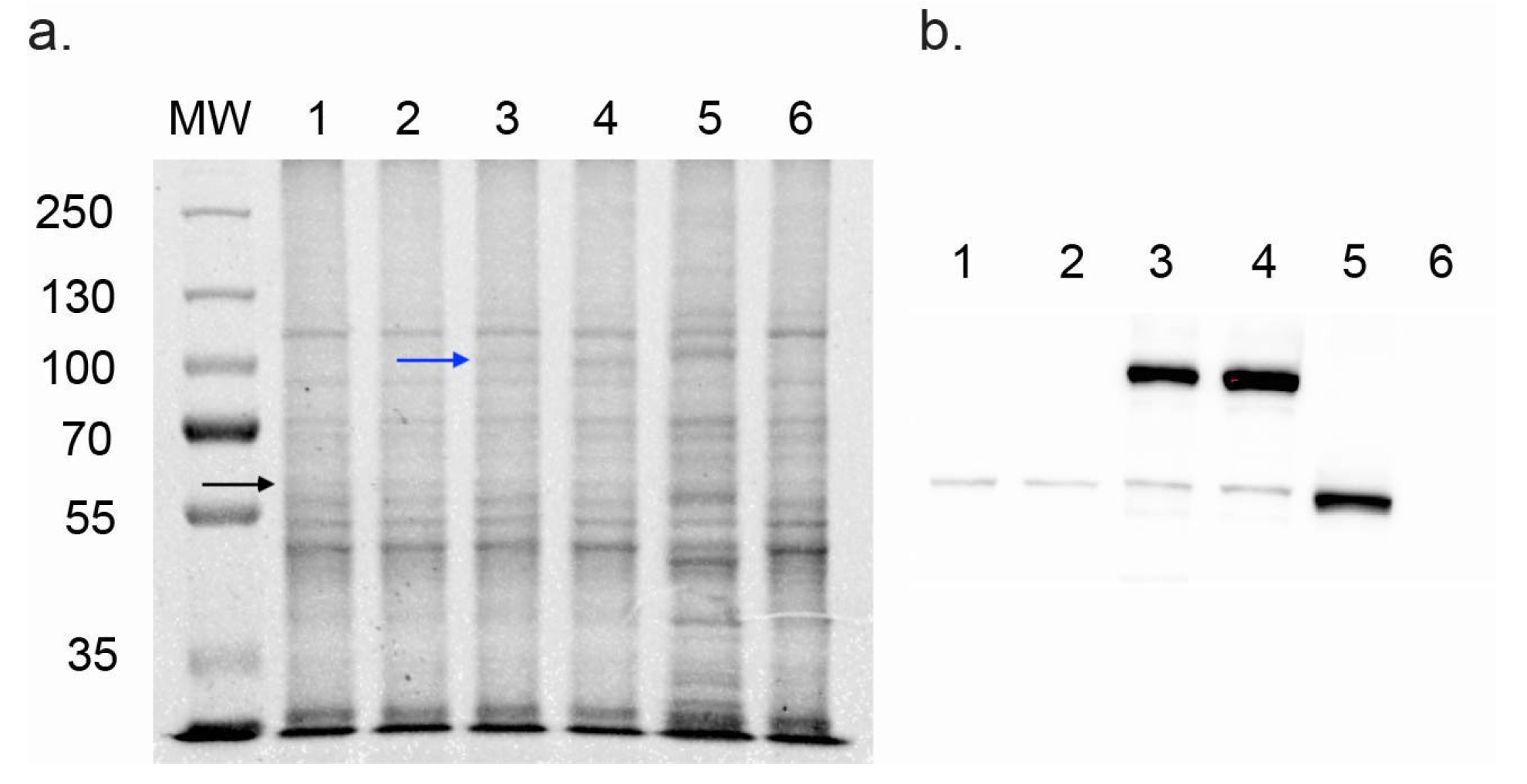 Jof 08 01256 g001 Jof 08 01256 g001