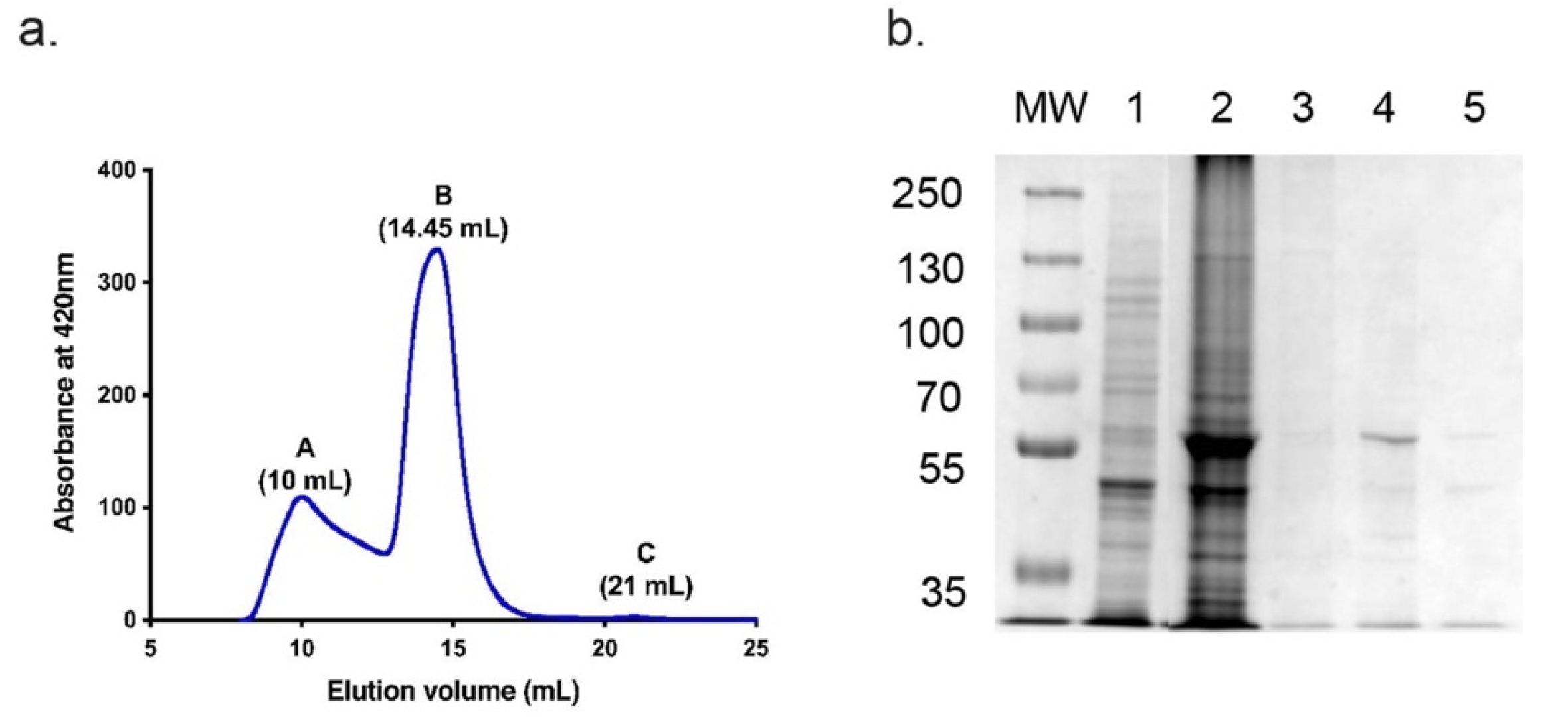 Jof 08 01256 g003 Jof 08 01256 g003