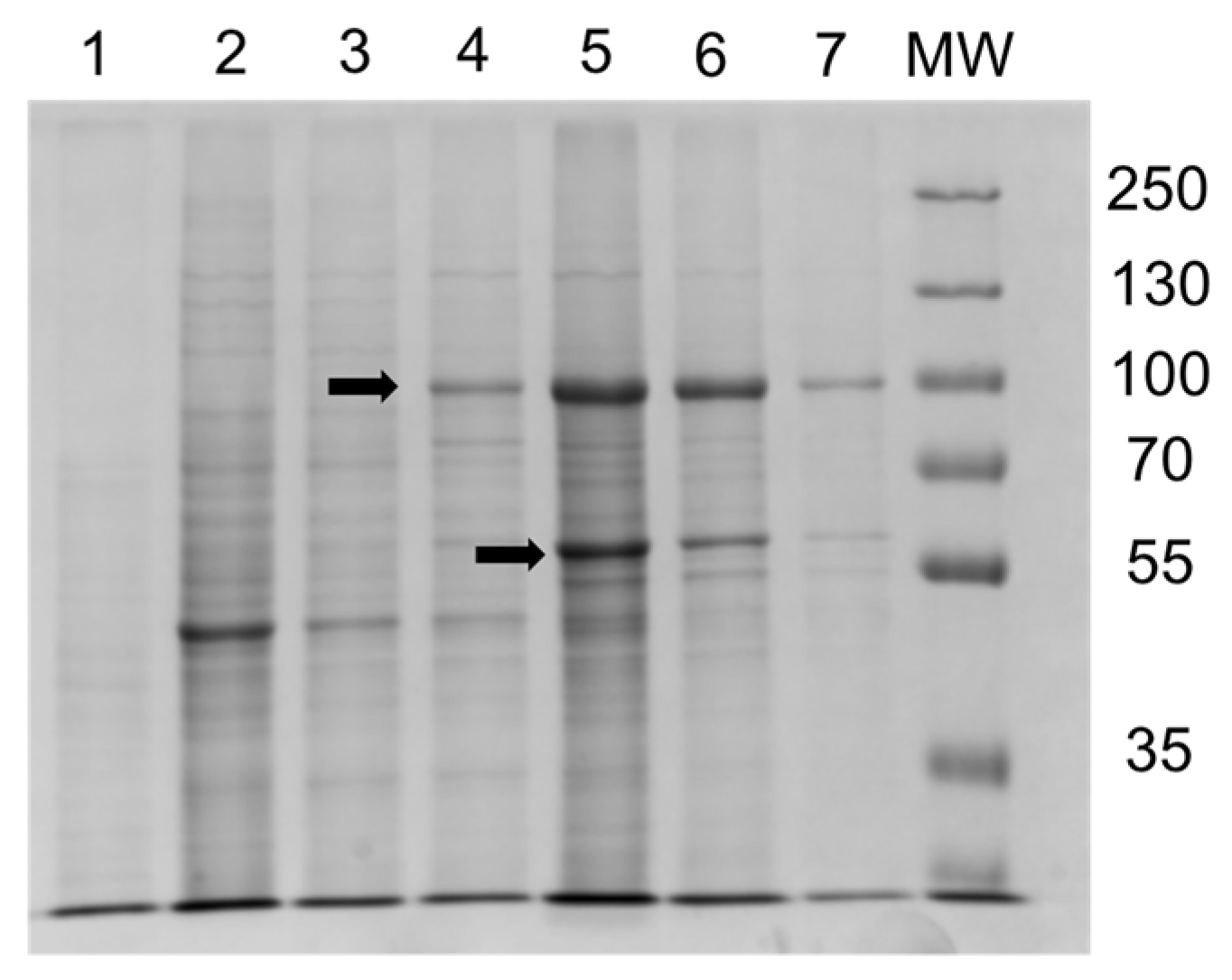 Jof 08 01256 g006 Jof 08 01256 g006