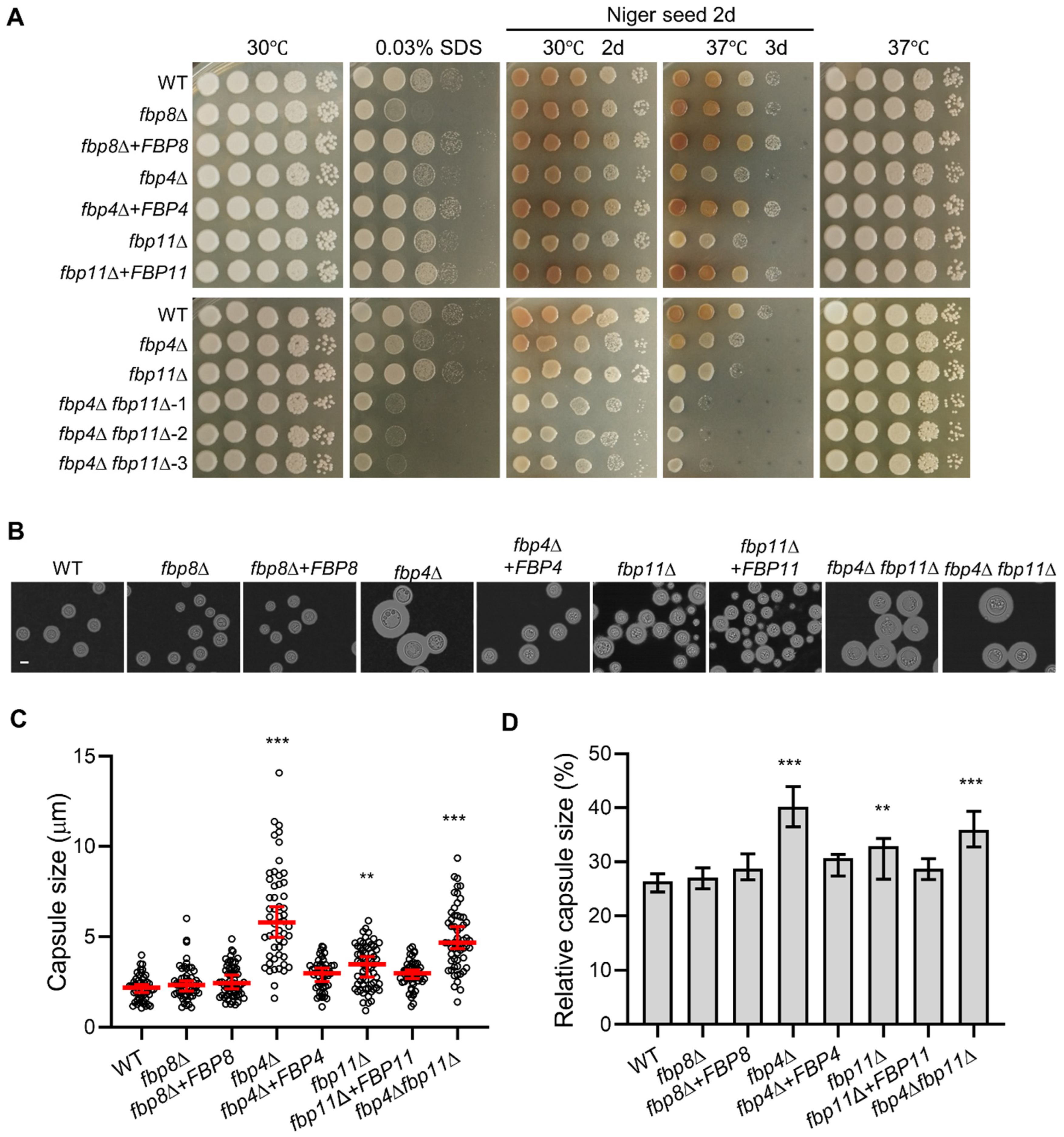 Jof 08 01259 g002 Jof 08 01259 g002
