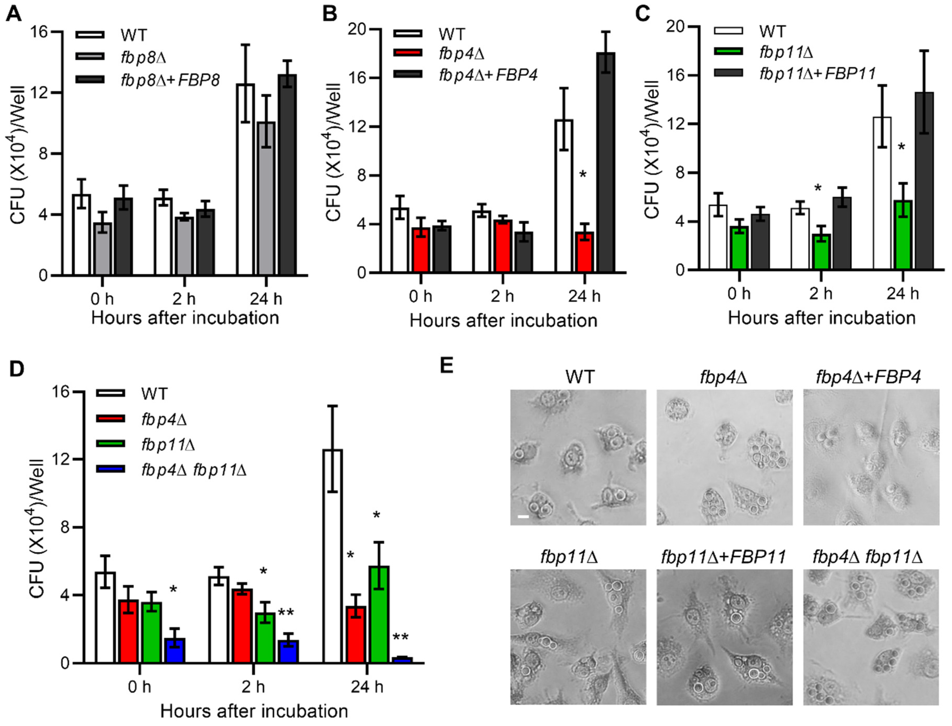 Jof 08 01259 g004 Jof 08 01259 g004
