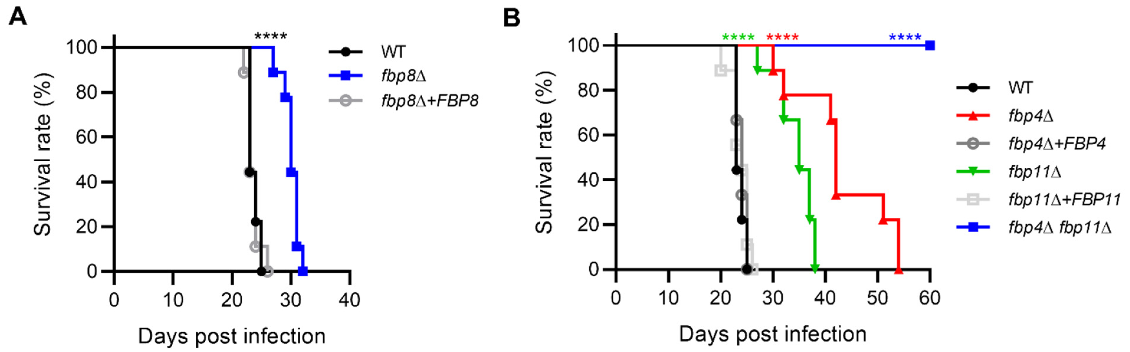 Jof 08 01259 g005 Jof 08 01259 g005