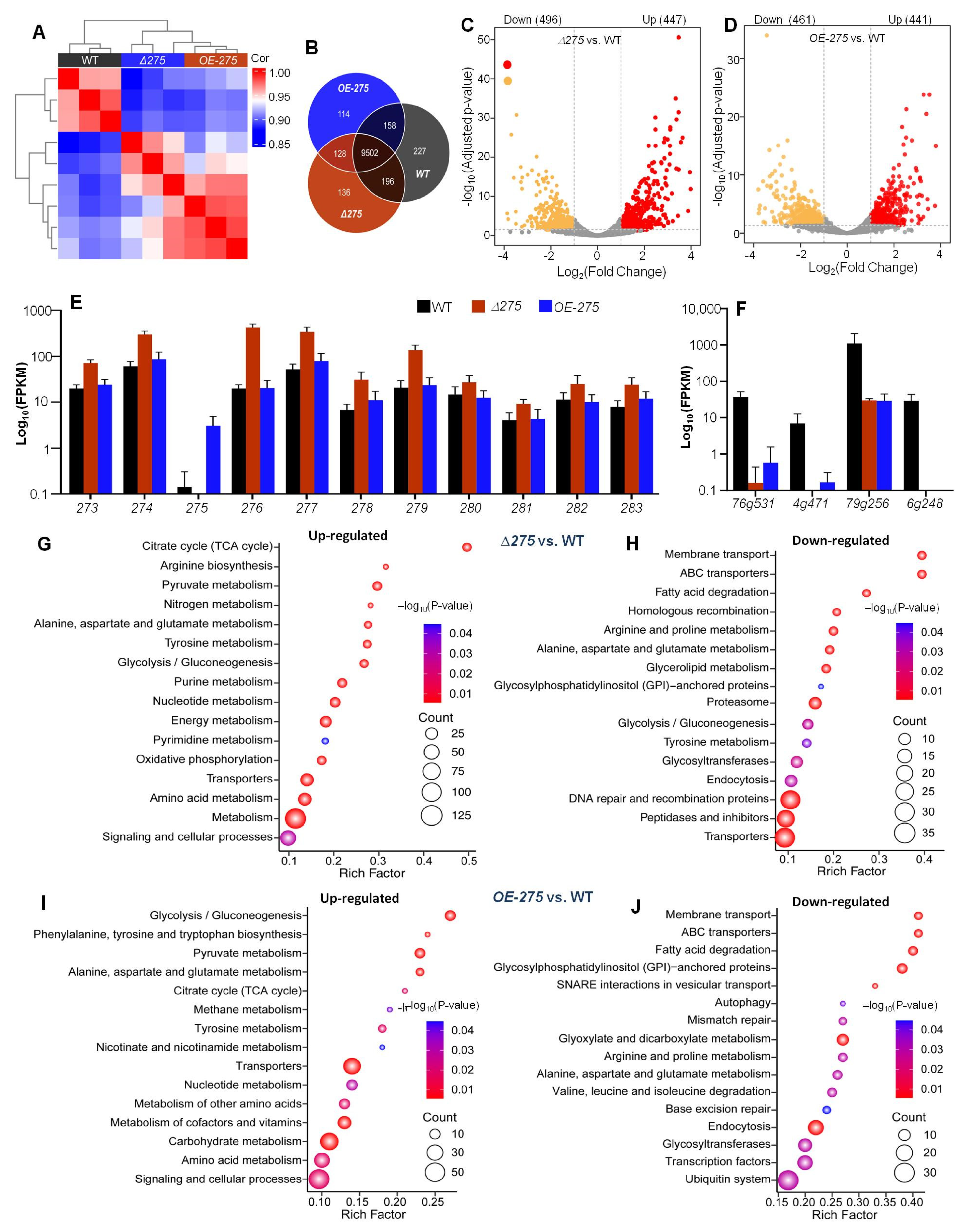 Jof 08 01261 g005 Jof 08 01261 g005