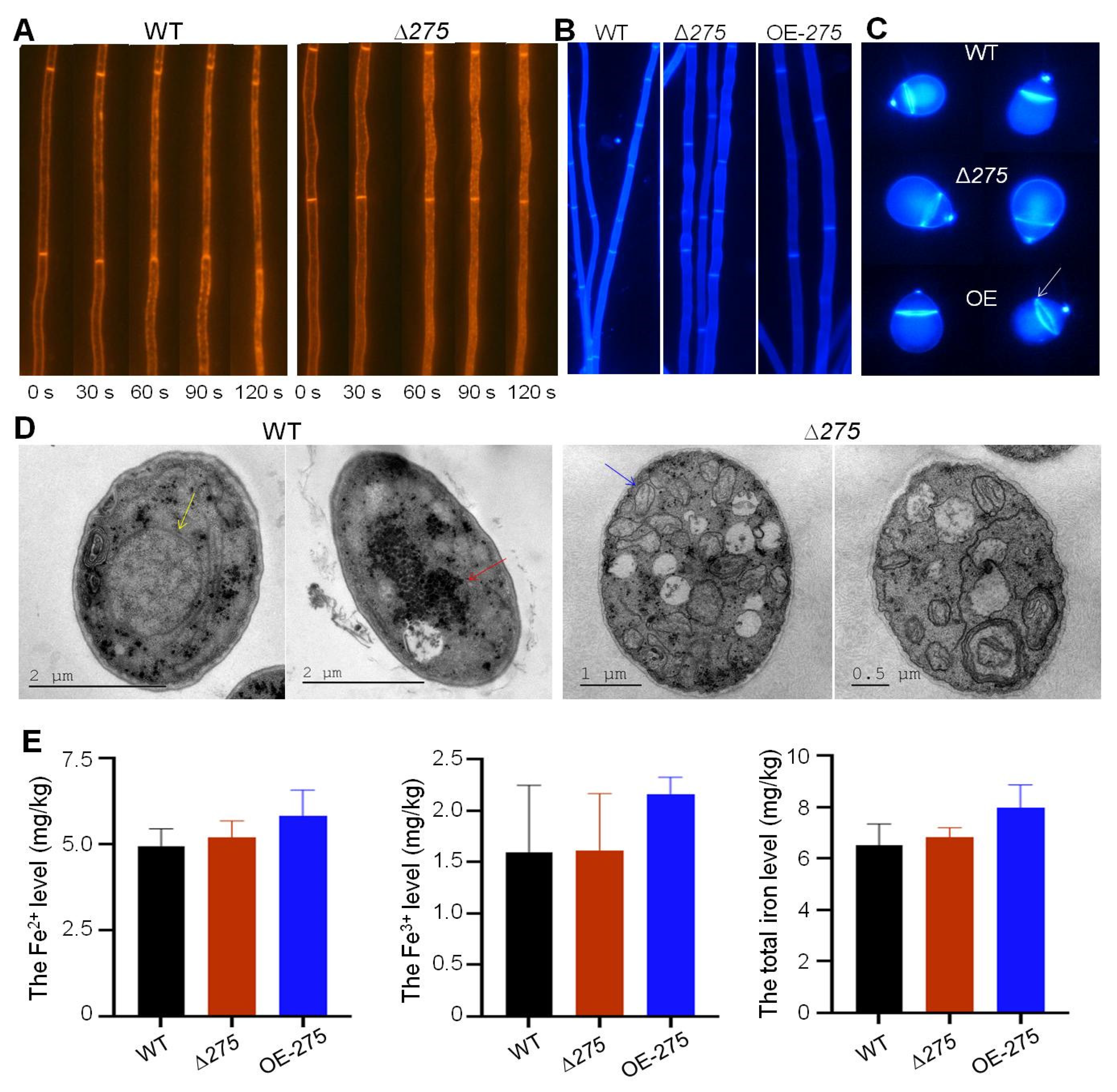 Jof 08 01261 g008 Jof 08 01261 g008