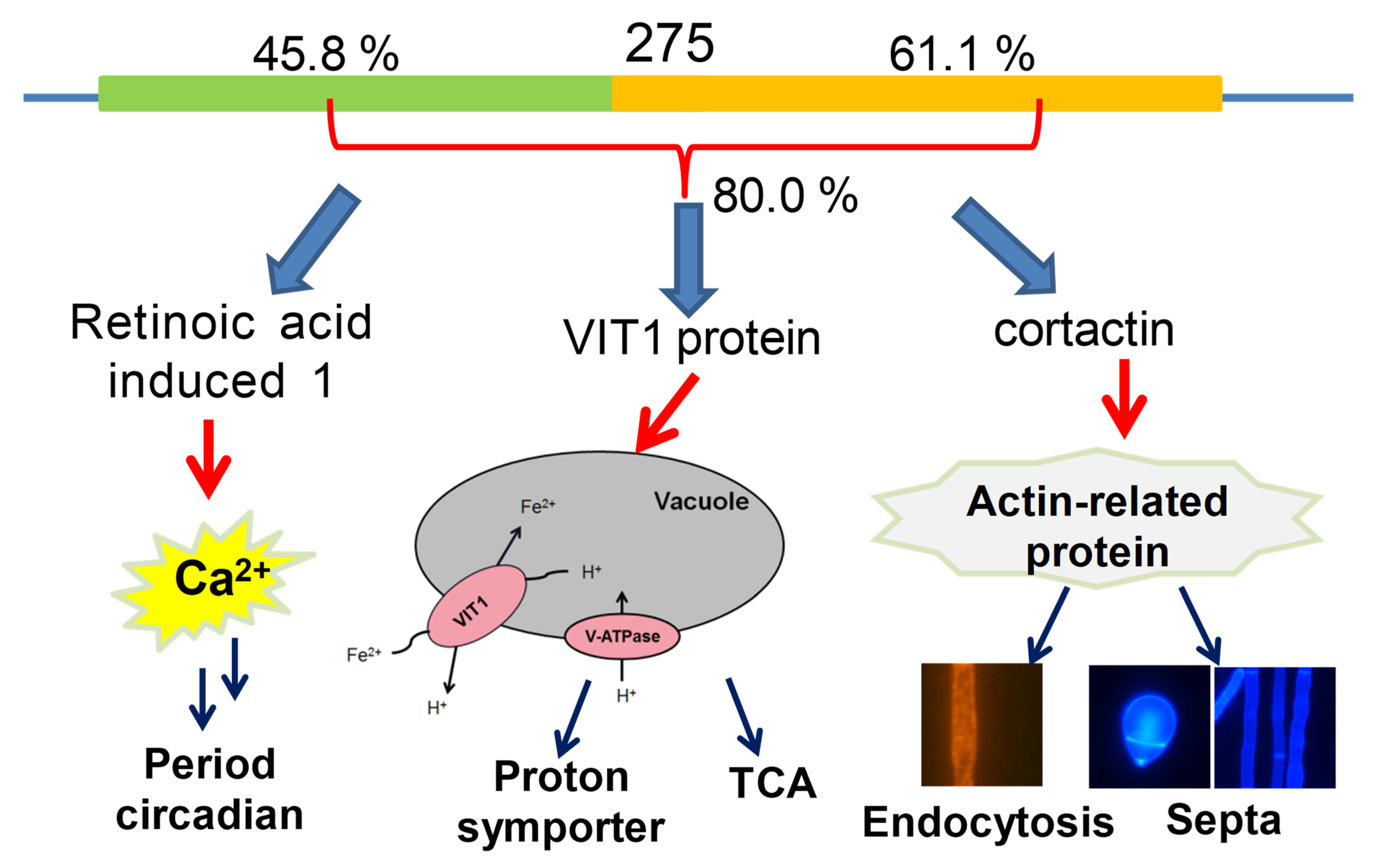 Jof 08 01261 g011 Jof 08 01261 g011