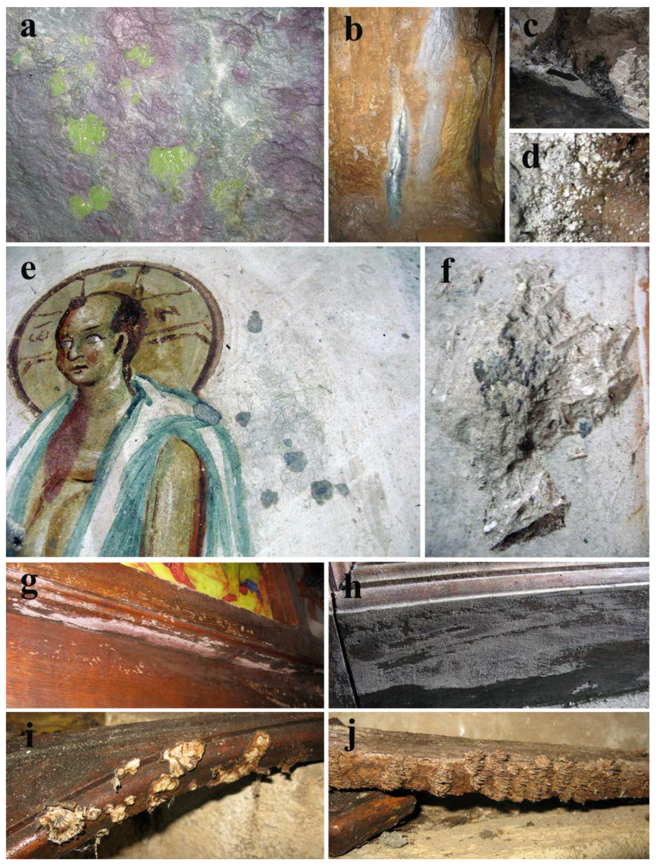 Jof 08 01263 g002 Jof 08 01263 g002