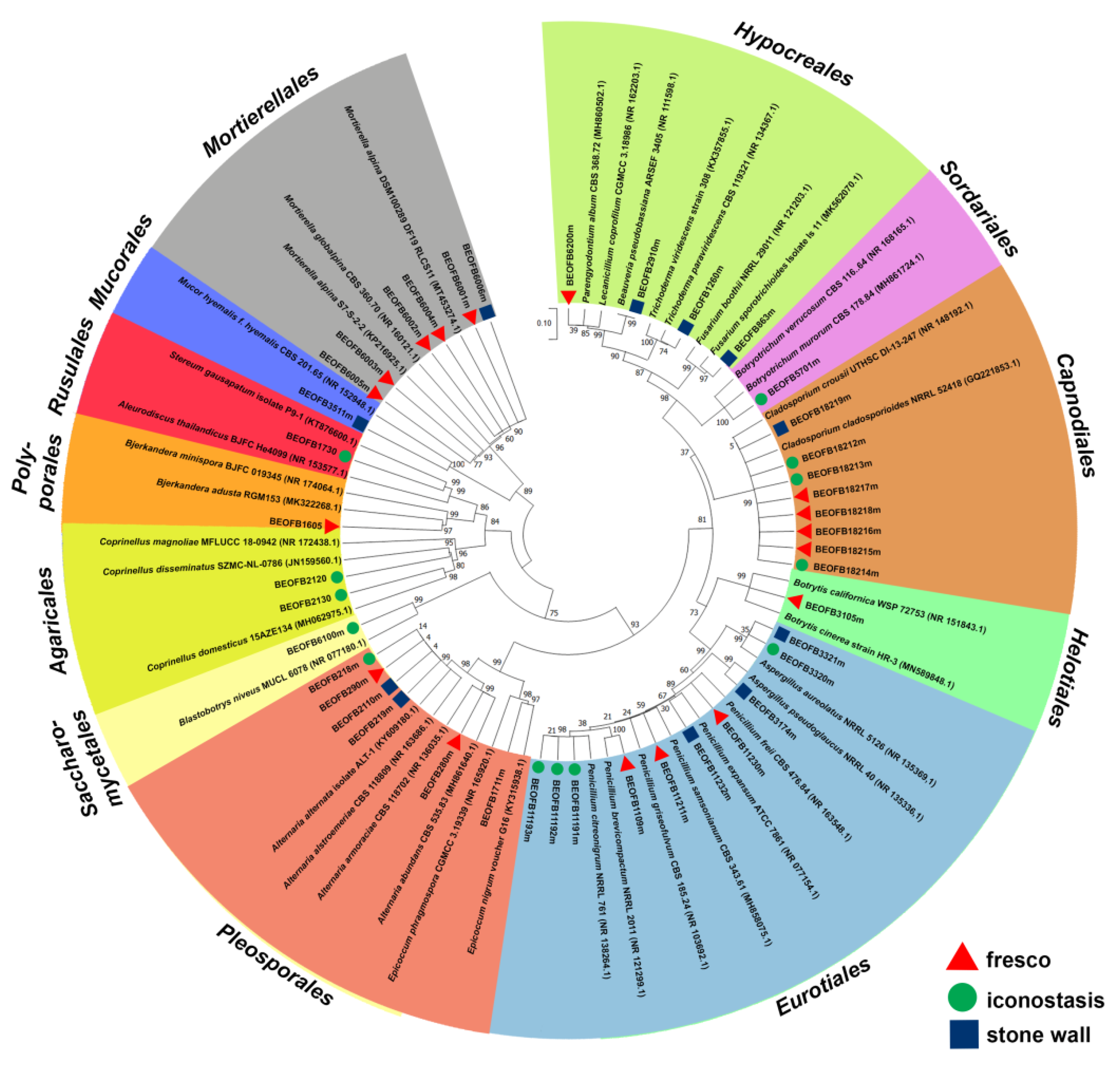 Jof 08 01263 g007 Jof 08 01263 g007