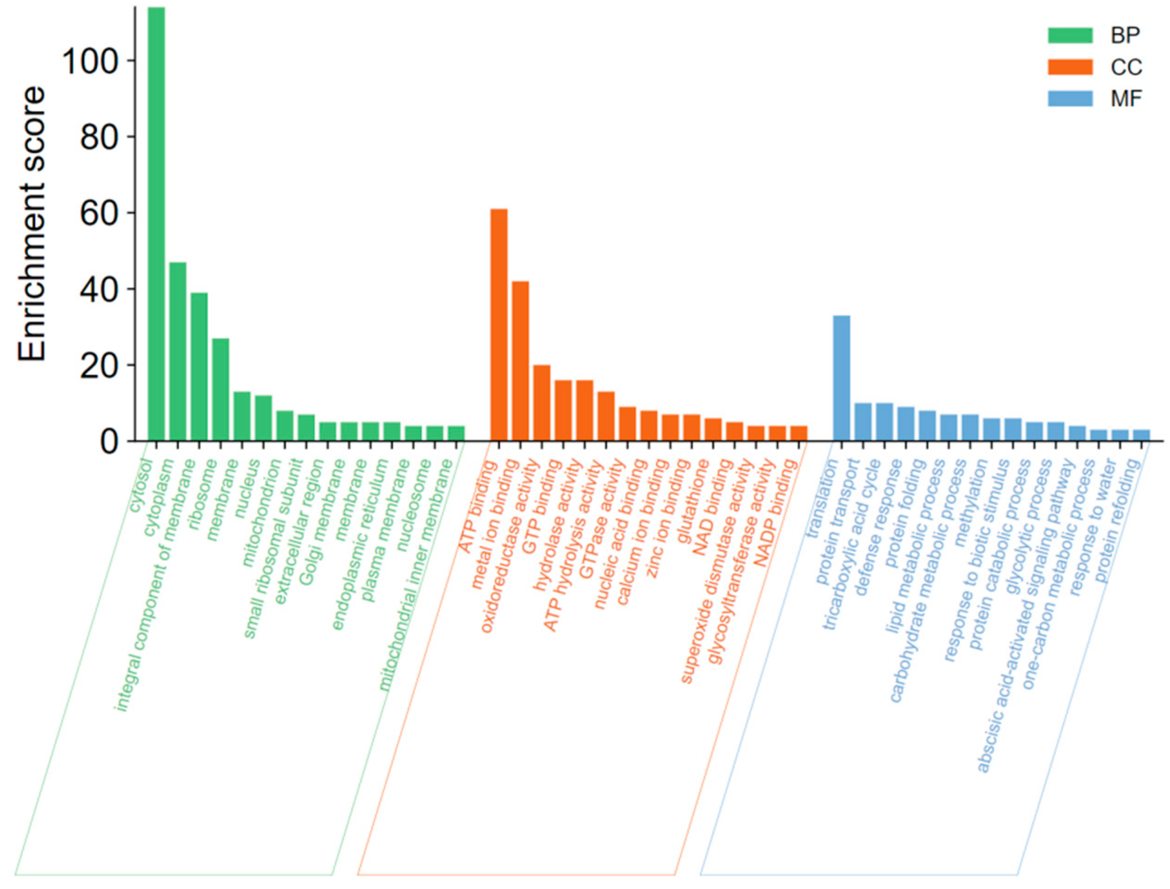 Jof 08 01273 g005 Jof 08 01273 g005