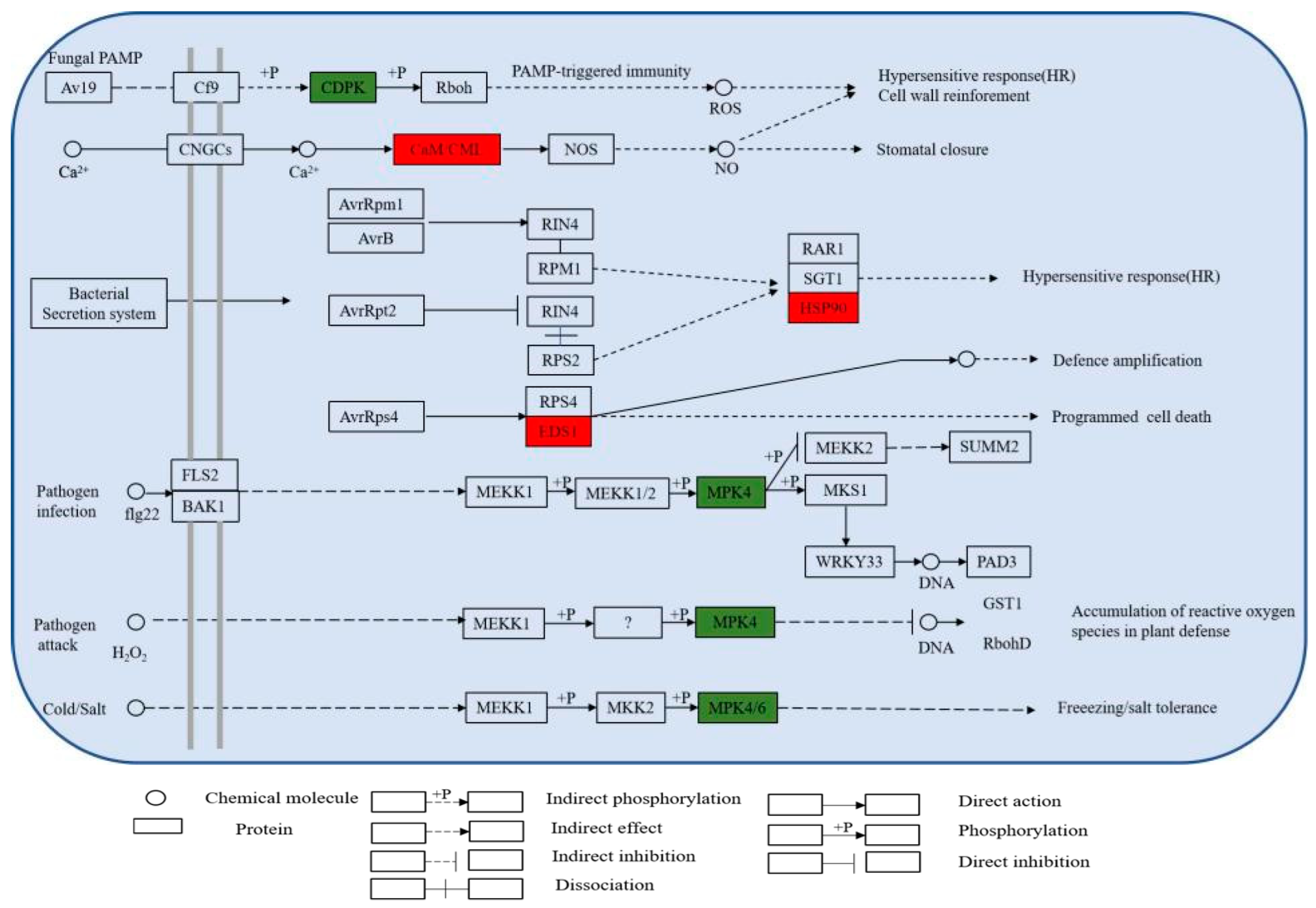Jof 08 01273 g009 Jof 08 01273 g009