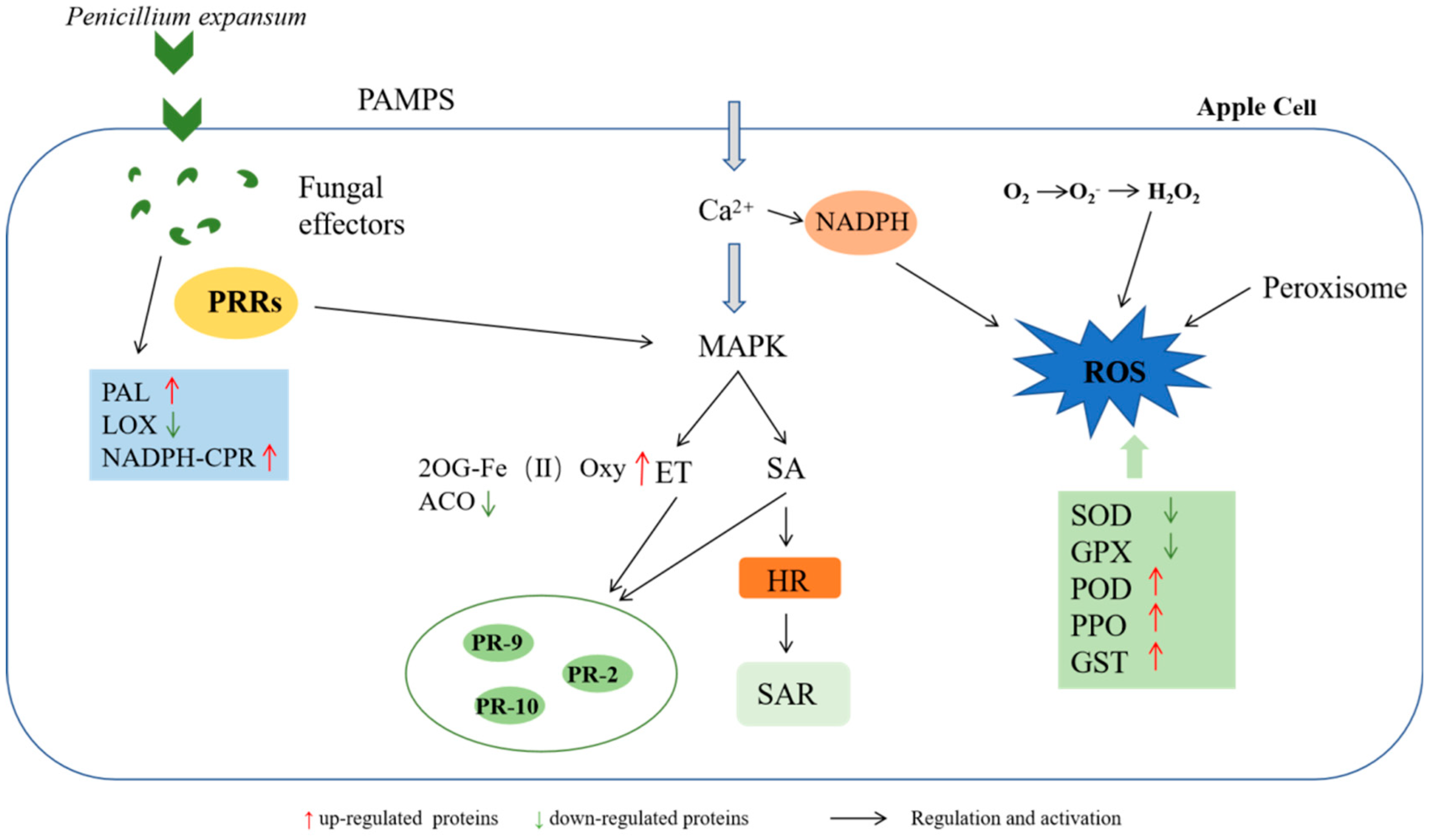 Jof 08 01273 g010 Jof 08 01273 g010