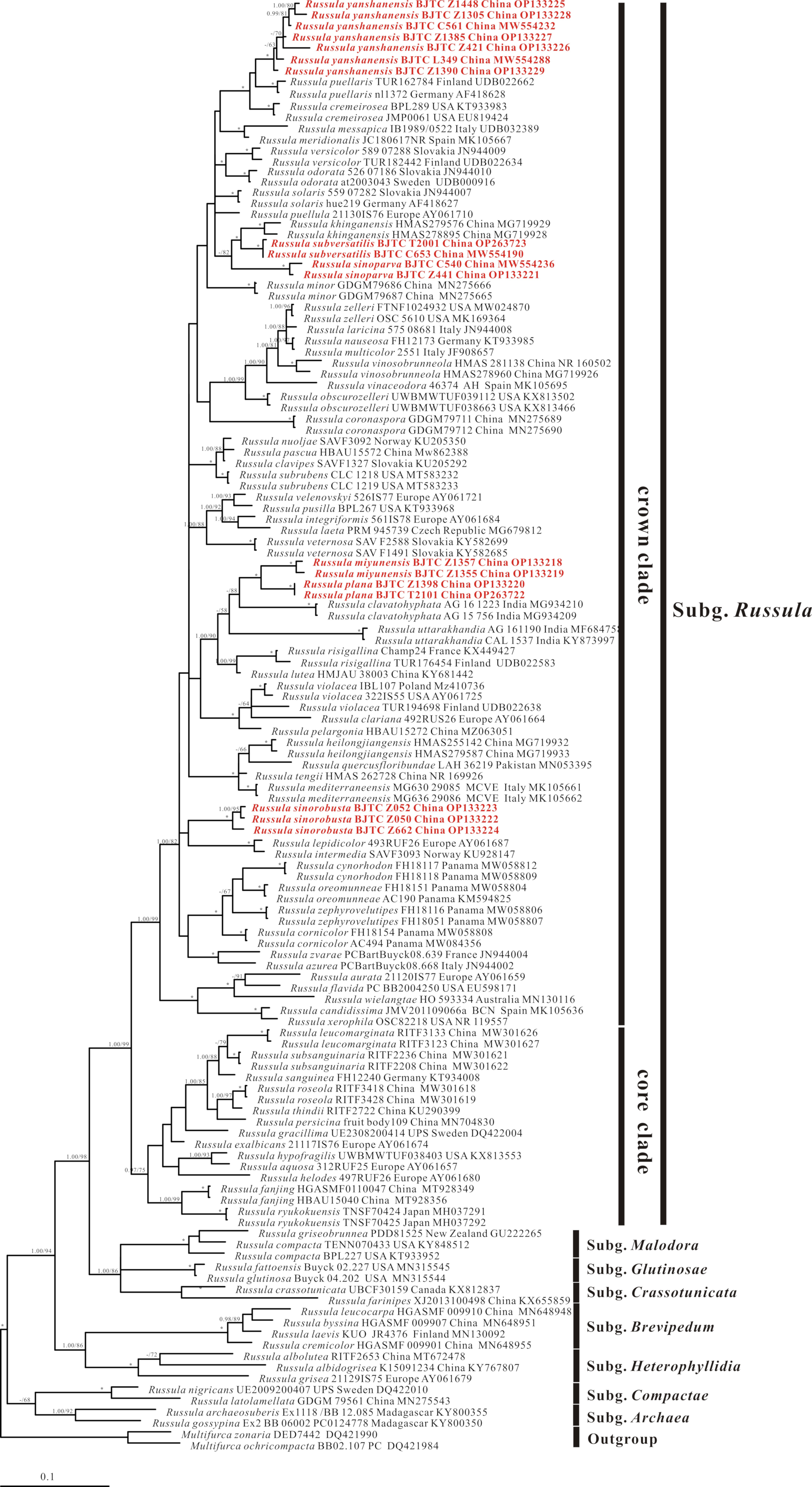 Jof 08 01283 g001 Jof 08 01283 g001