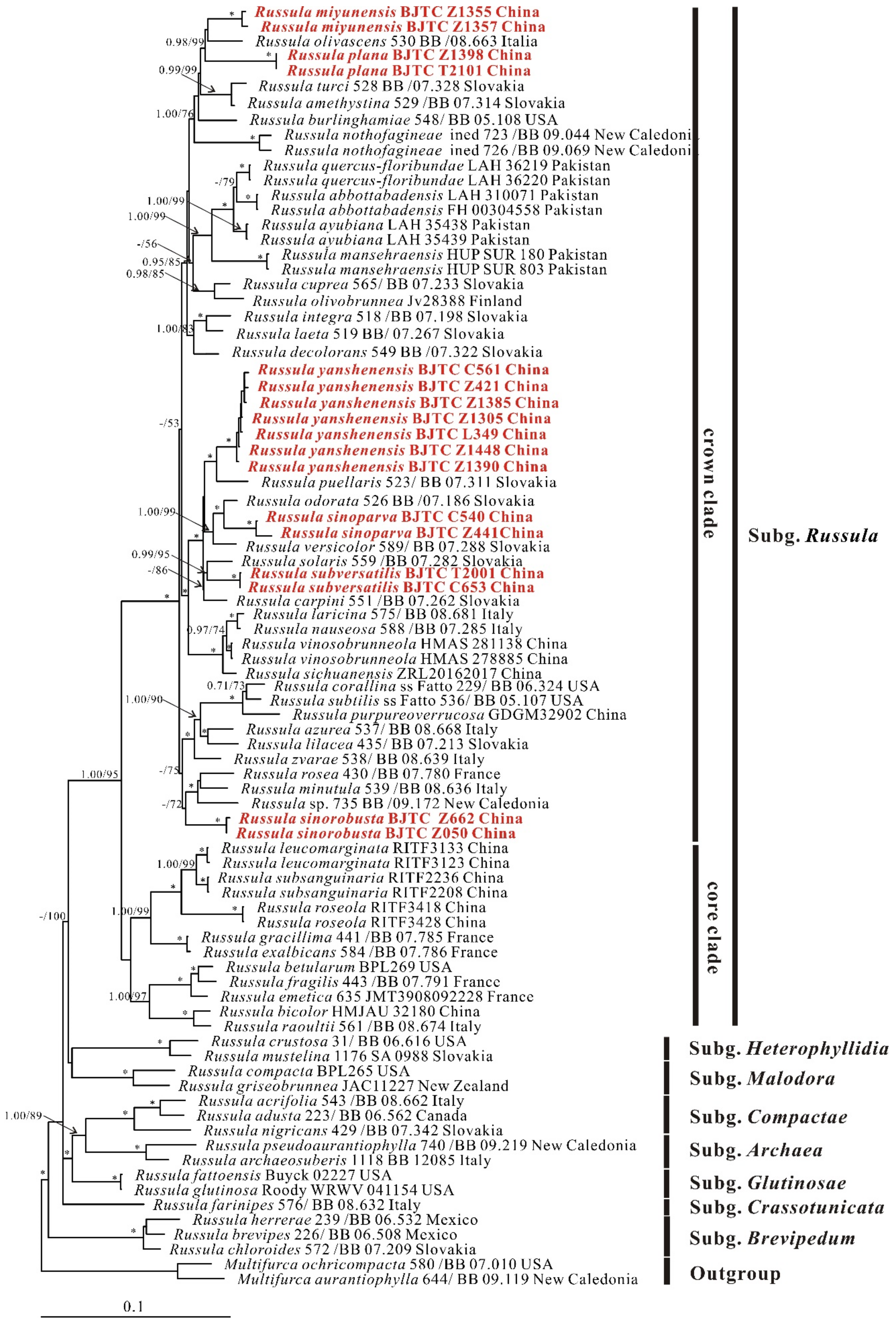 Jof 08 01283 g002 Jof 08 01283 g002