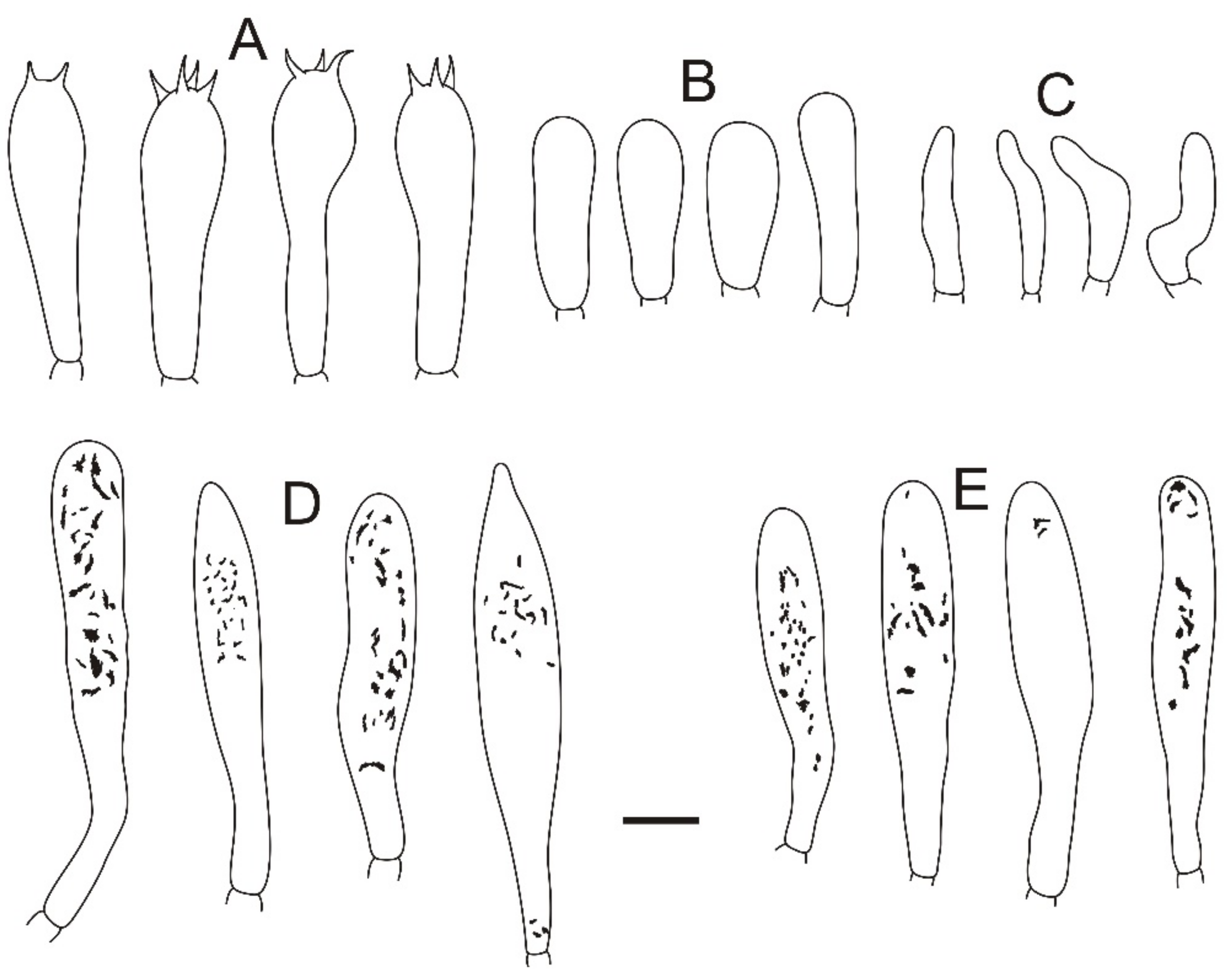 Jof 08 01283 g004 Jof 08 01283 g004