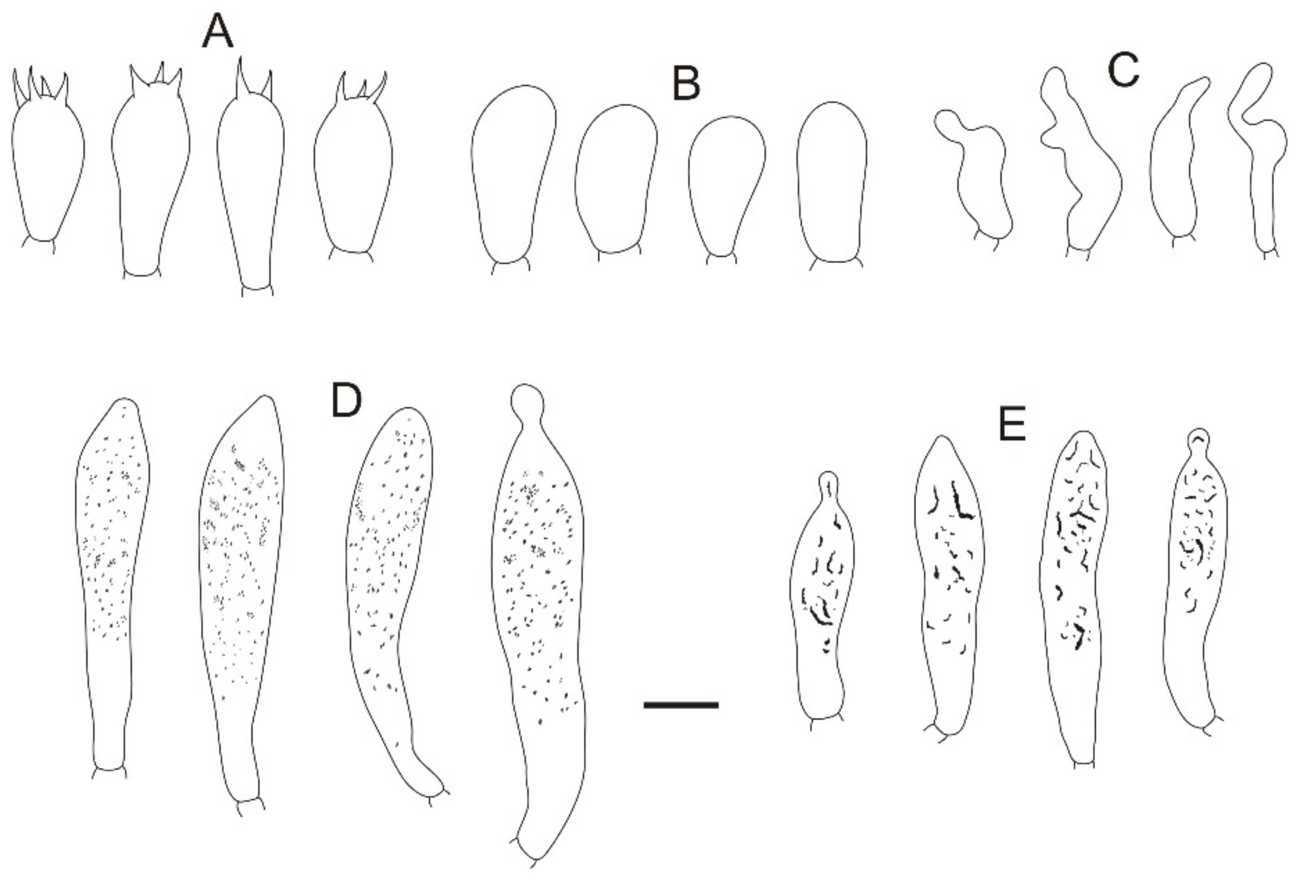 Jof 08 01283 g008 Jof 08 01283 g008