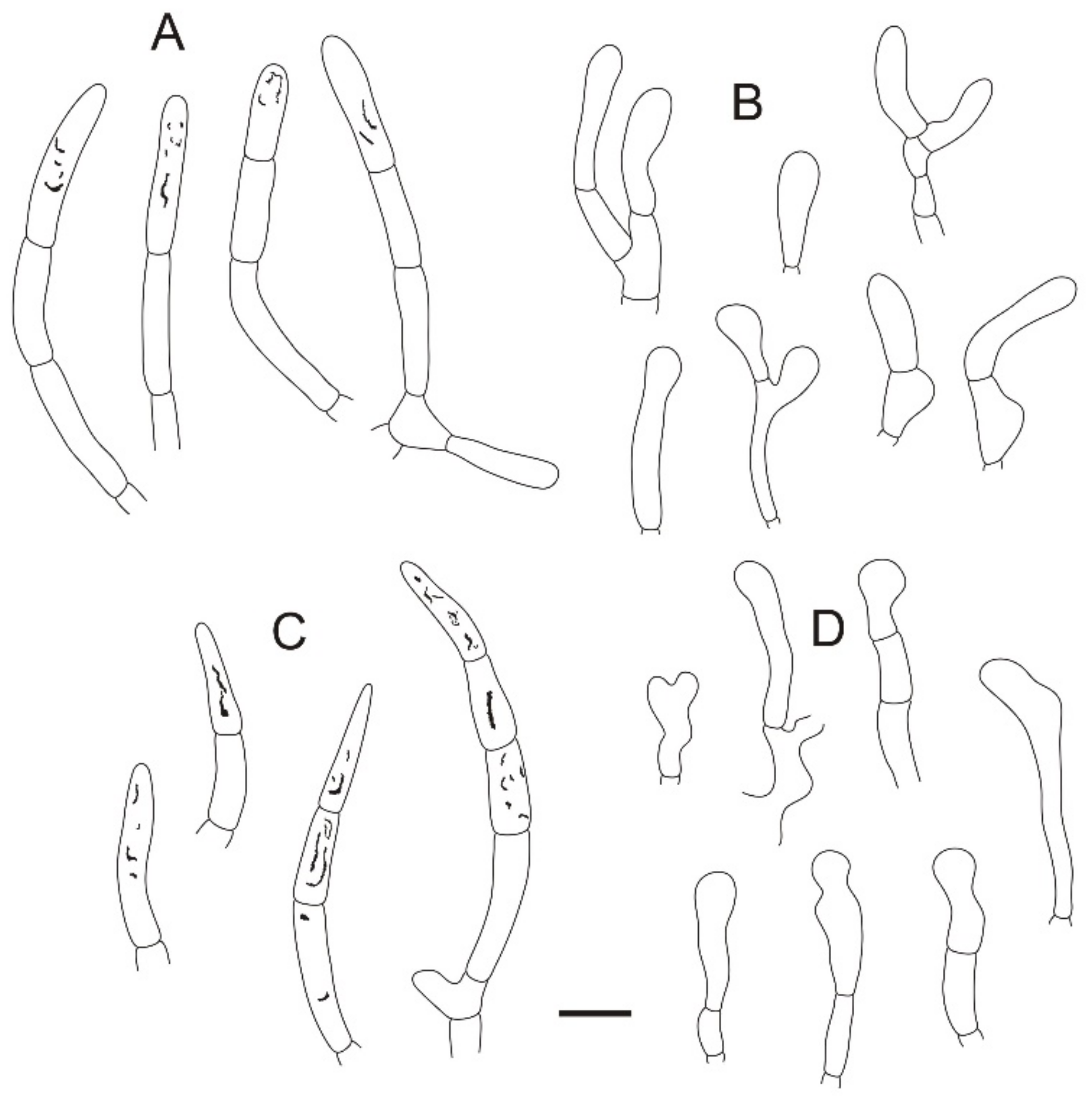 Jof 08 01283 g009 Jof 08 01283 g009