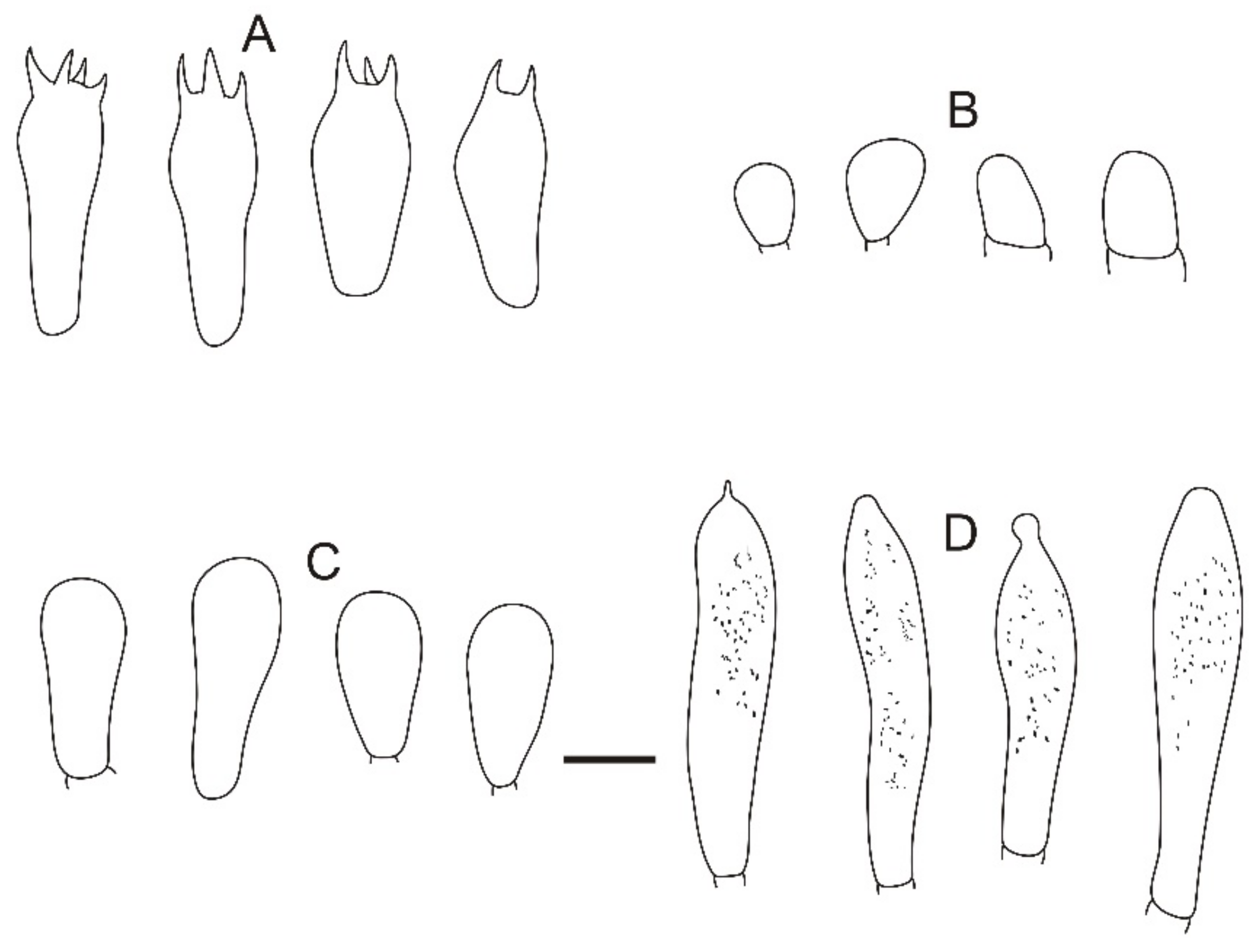Jof 08 01283 g012 Jof 08 01283 g012