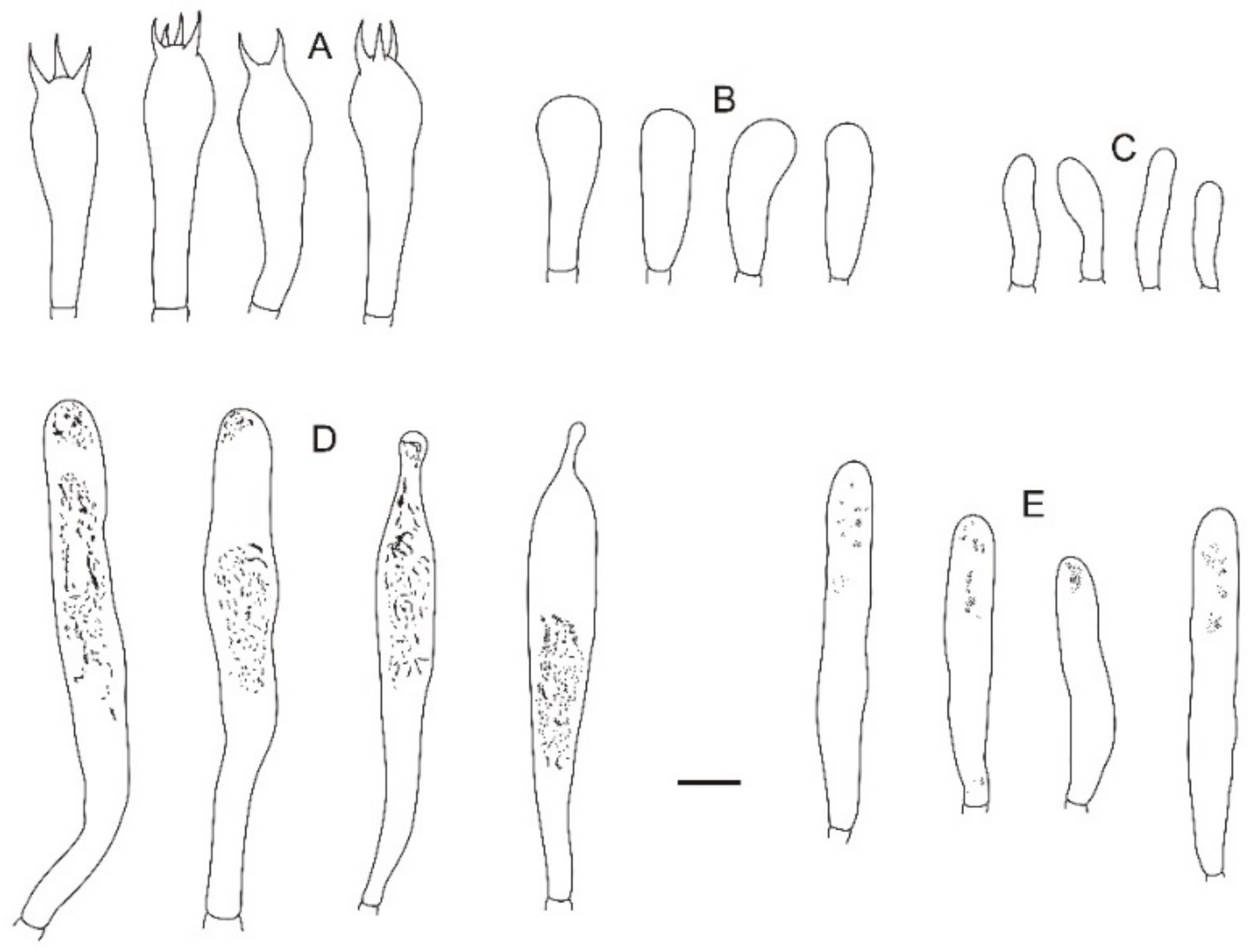 Jof 08 01283 g016 Jof 08 01283 g016