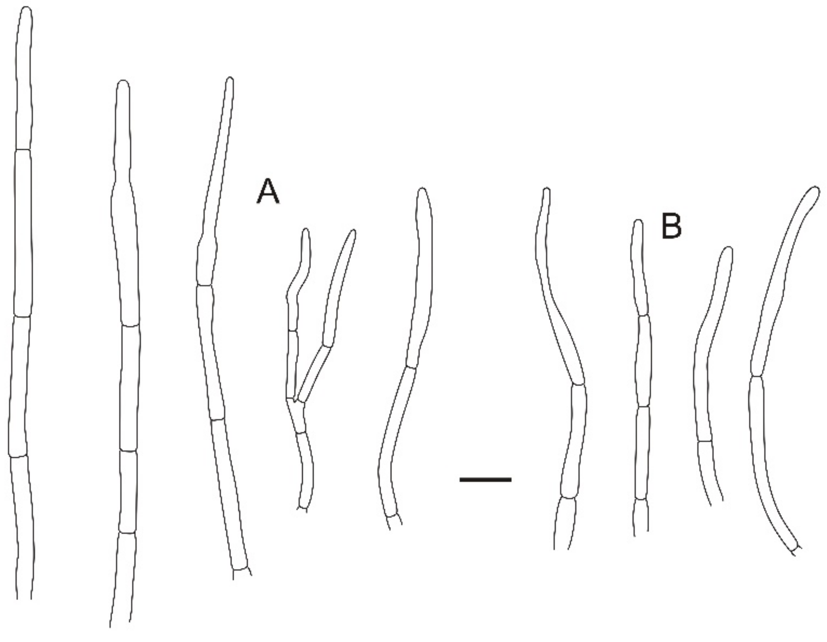 Jof 08 01283 g017 Jof 08 01283 g017