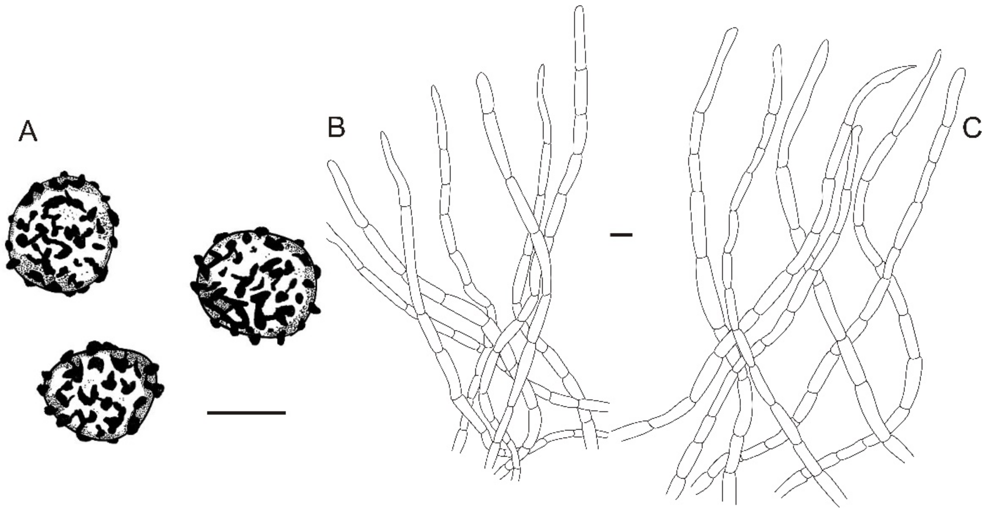 Jof 08 01283 g018 Jof 08 01283 g018