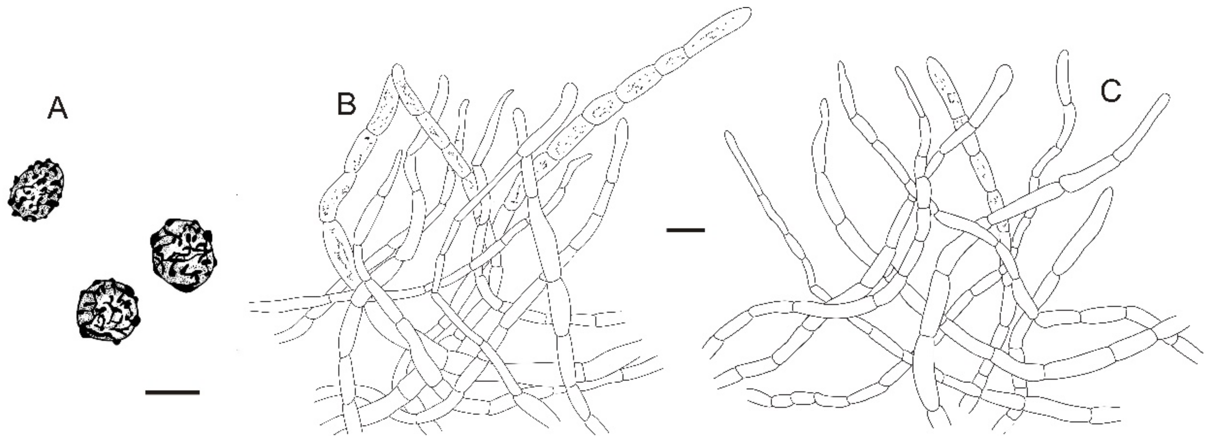 Jof 08 01283 g022 Jof 08 01283 g022