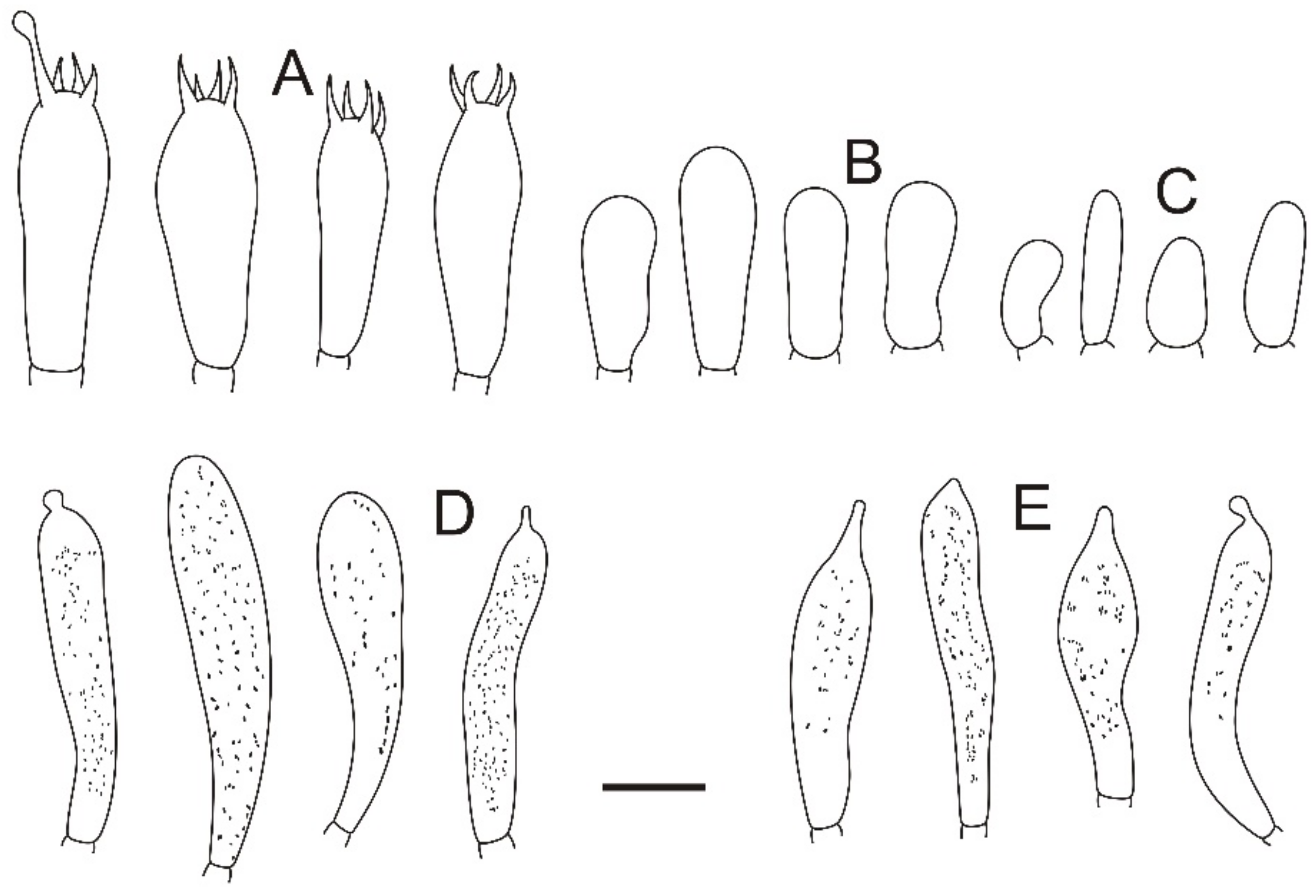 Jof 08 01283 g024 Jof 08 01283 g024