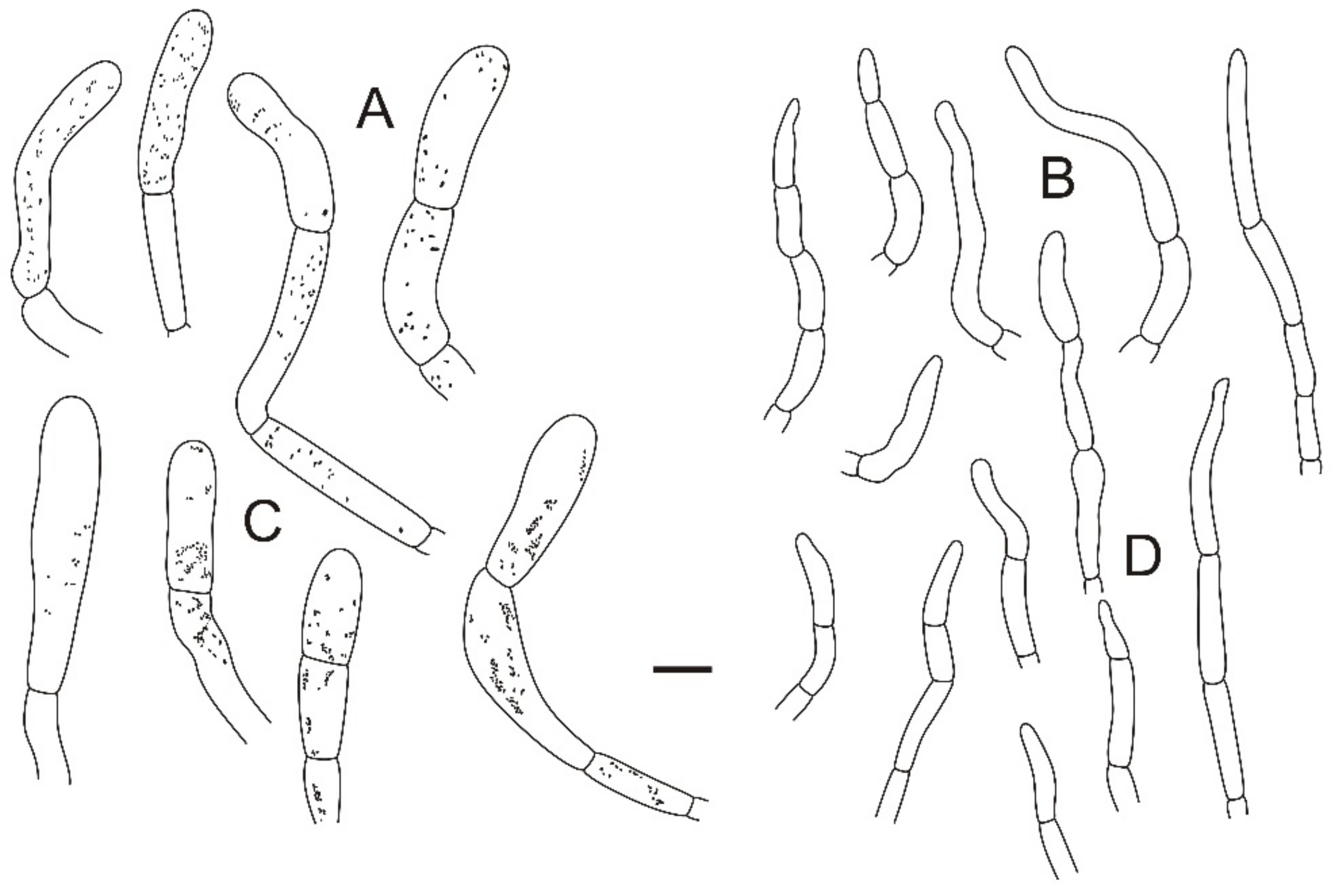 Jof 08 01283 g025 Jof 08 01283 g025