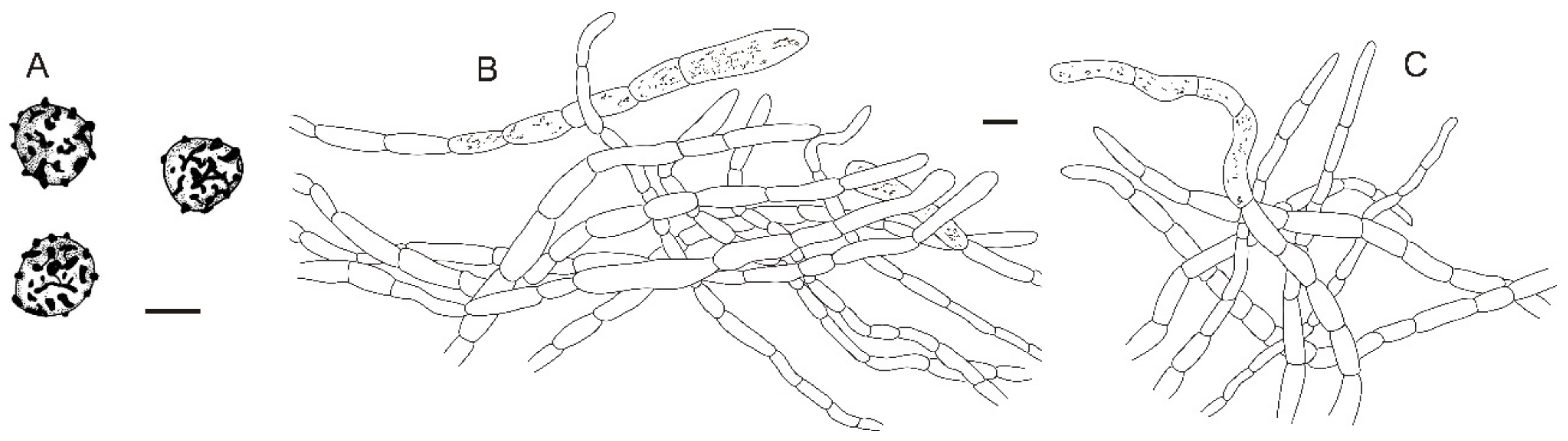 Jof 08 01283 g026 Jof 08 01283 g026