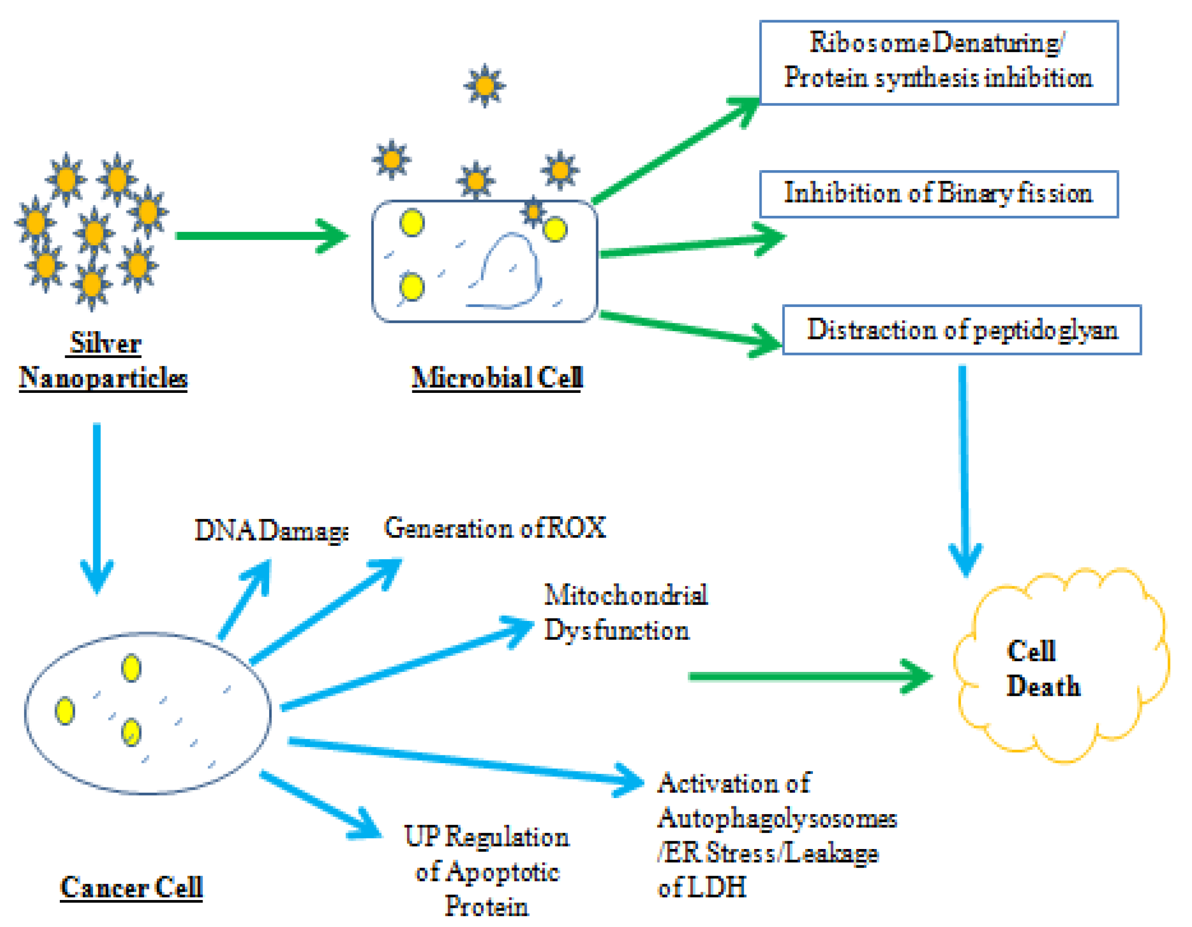 Jof 08 01288 g004 Jof 08 01288 g004