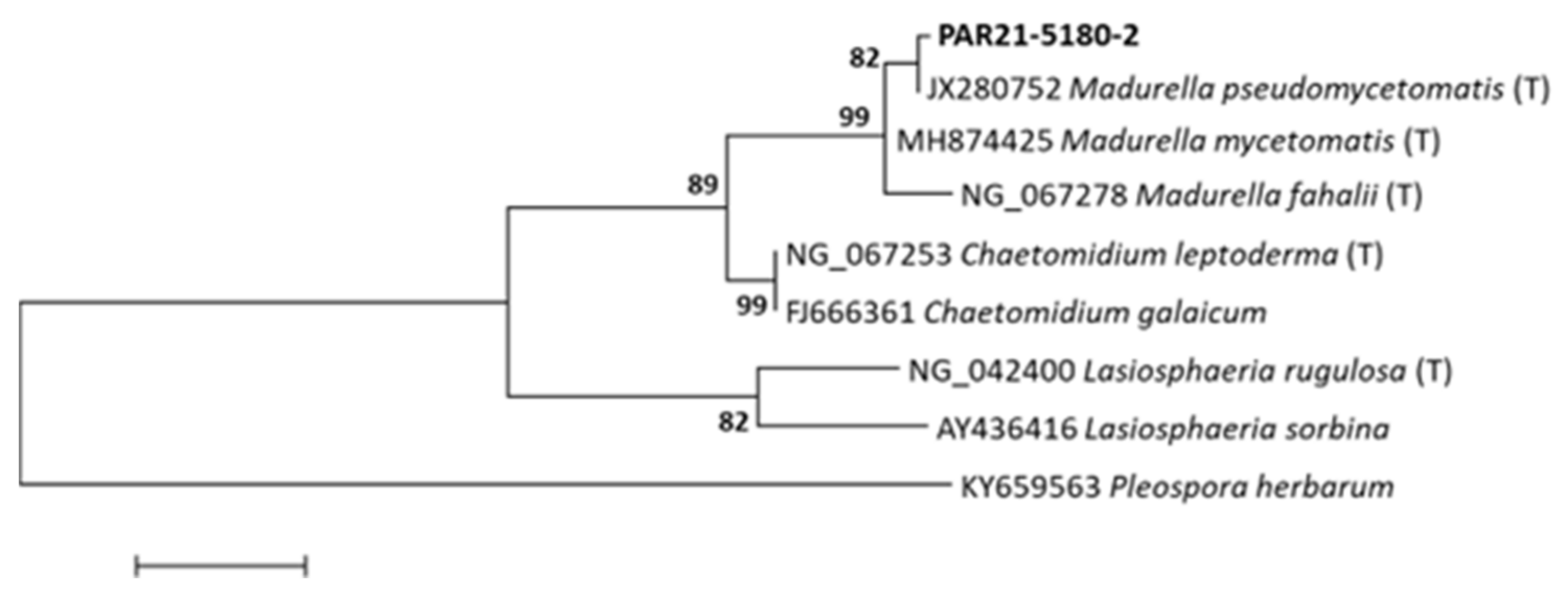 Jof 08 01289 g003 Jof 08 01289 g003