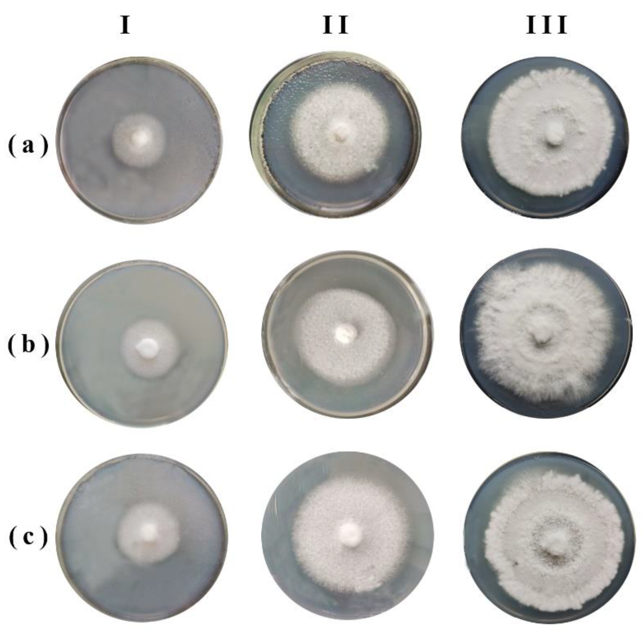 Jof 08 01296 g005 Jof 08 01296 g005