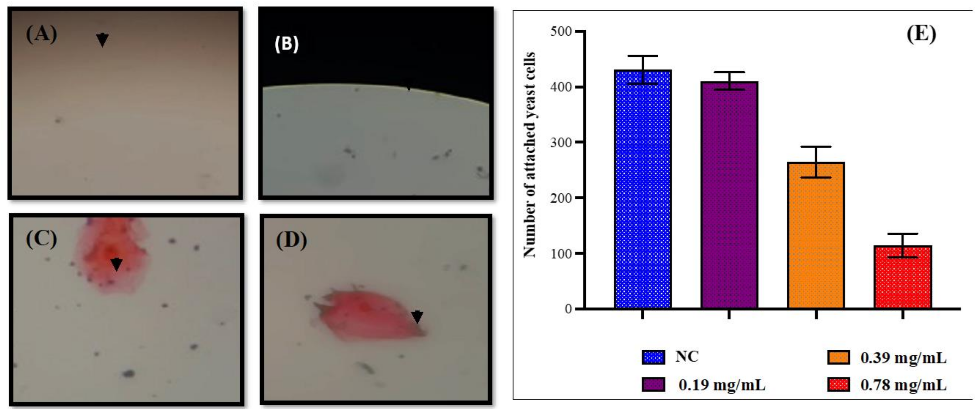 Jof 08 01298 g006 Jof 08 01298 g006