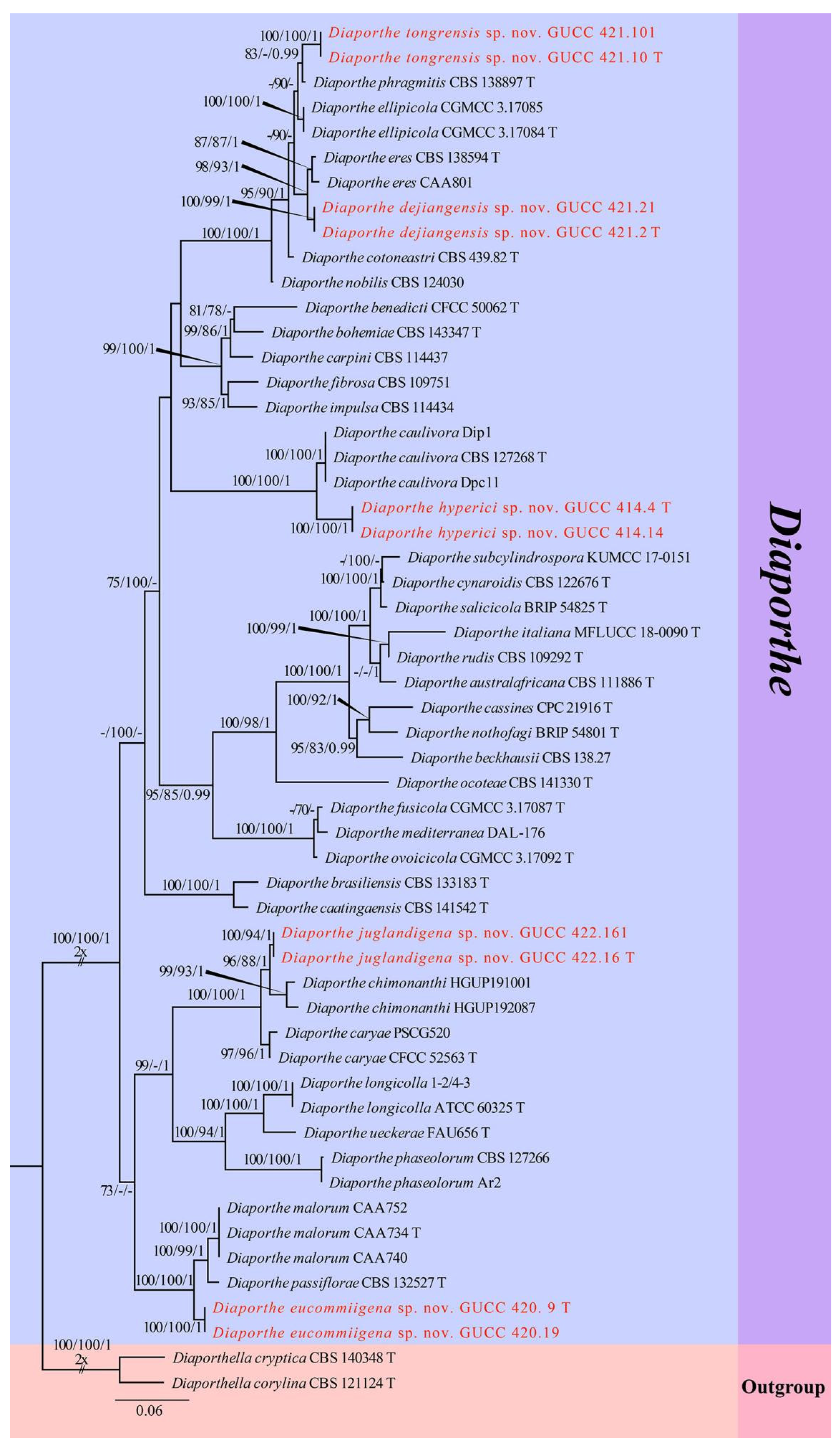 Jof 08 01301 g003 Jof 08 01301 g003