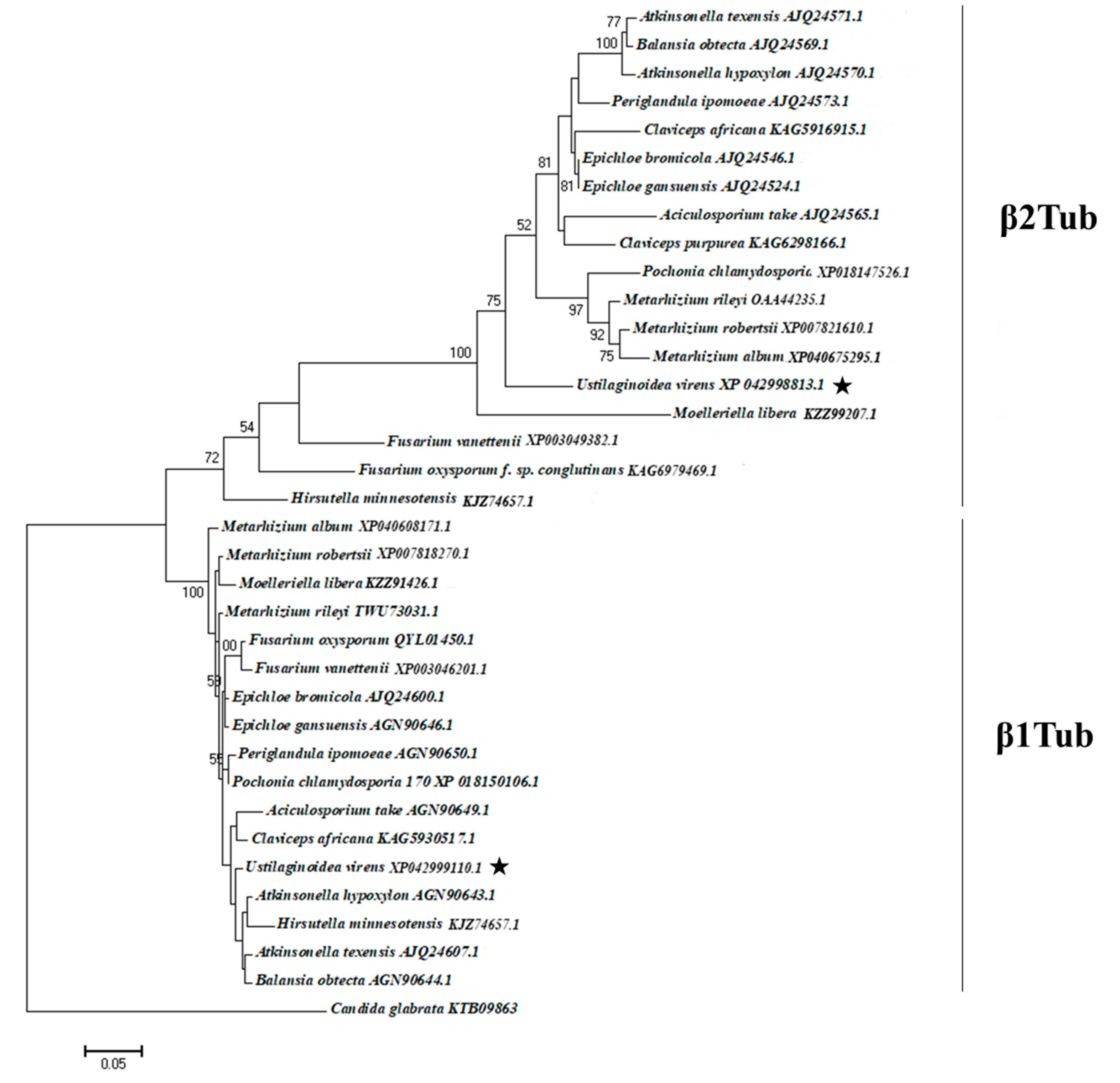 Jof 08 01311 g007 Jof 08 01311 g007