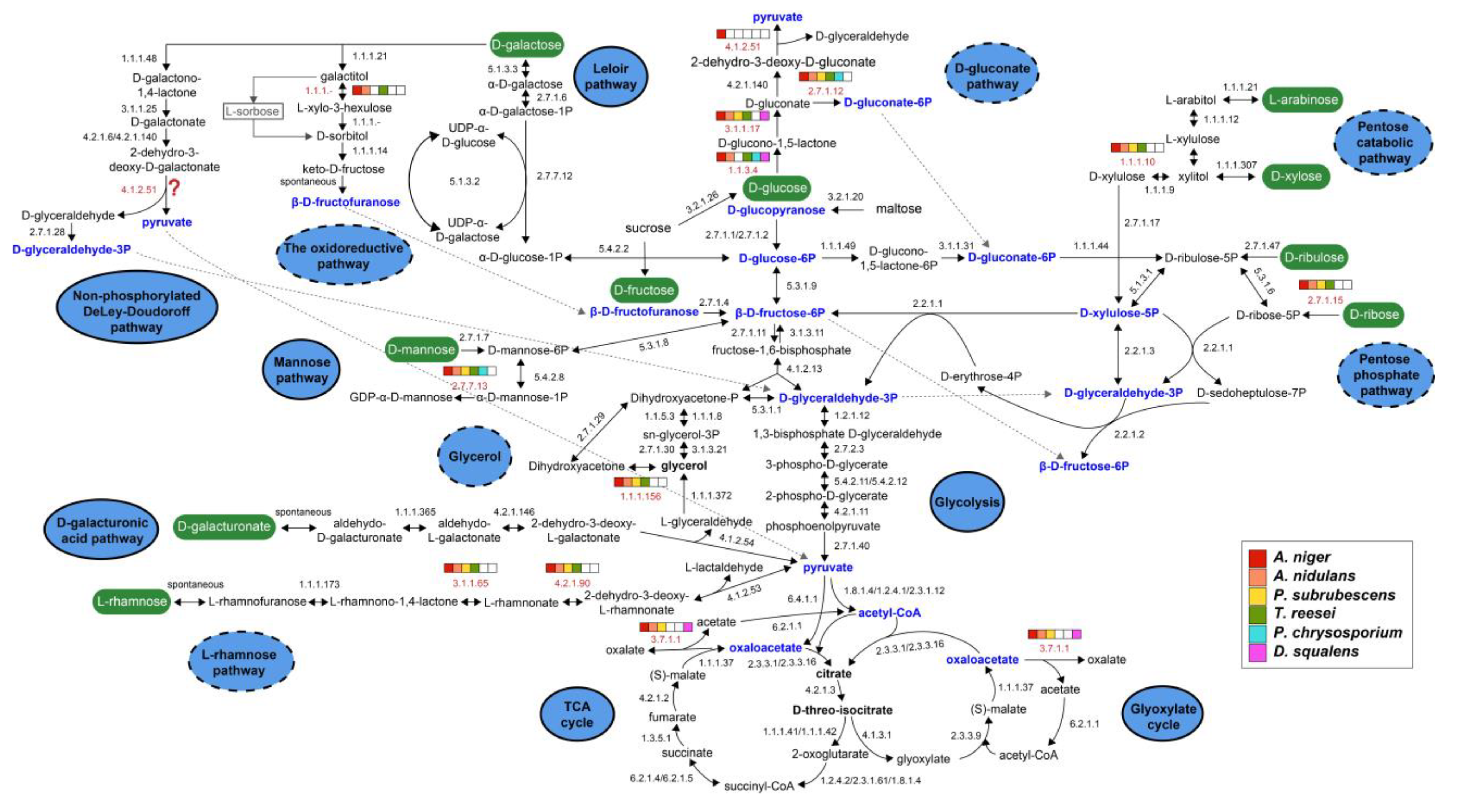Jof 08 01315 g002 Jof 08 01315 g002