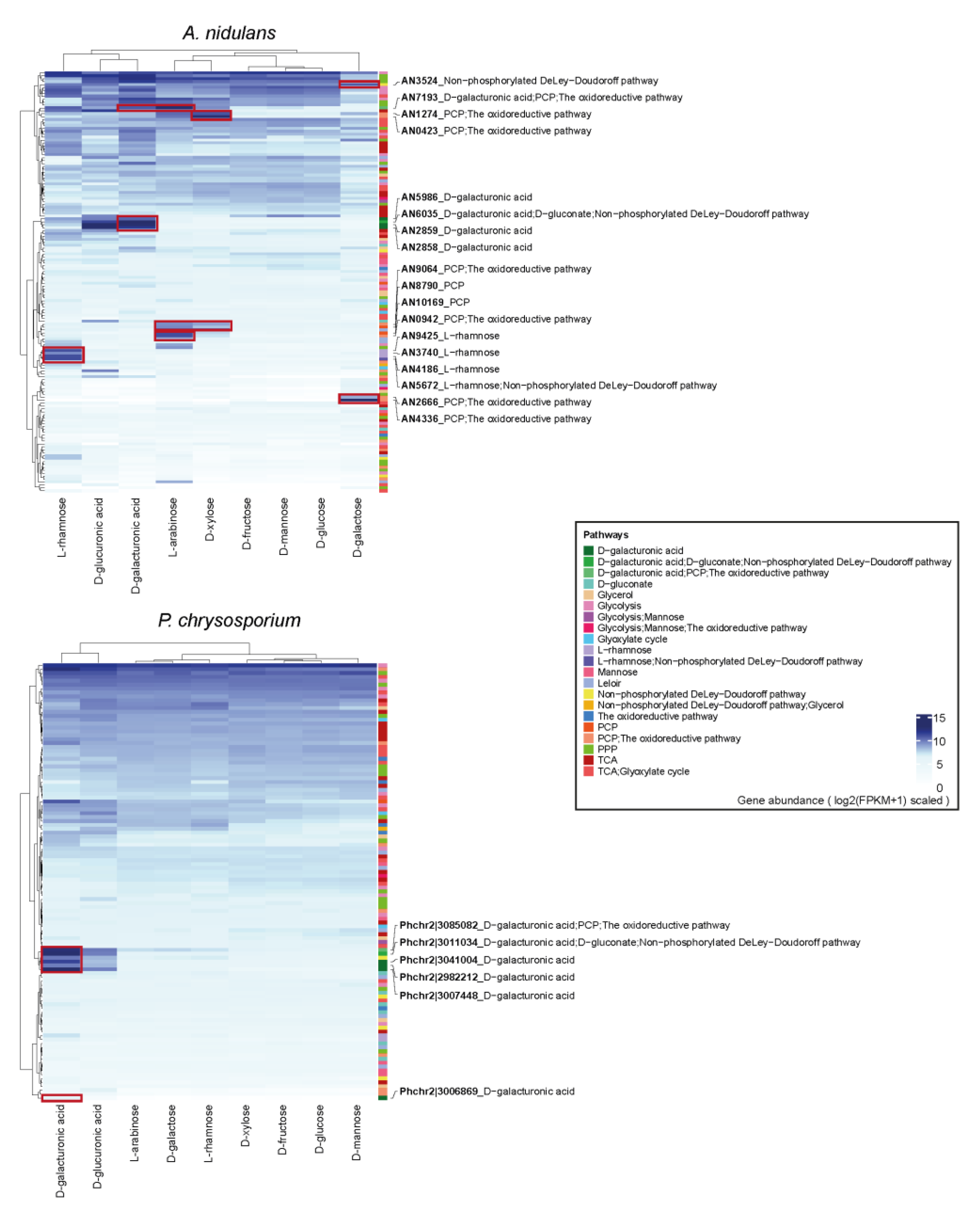 Jof 08 01315 g003 Jof 08 01315 g003
