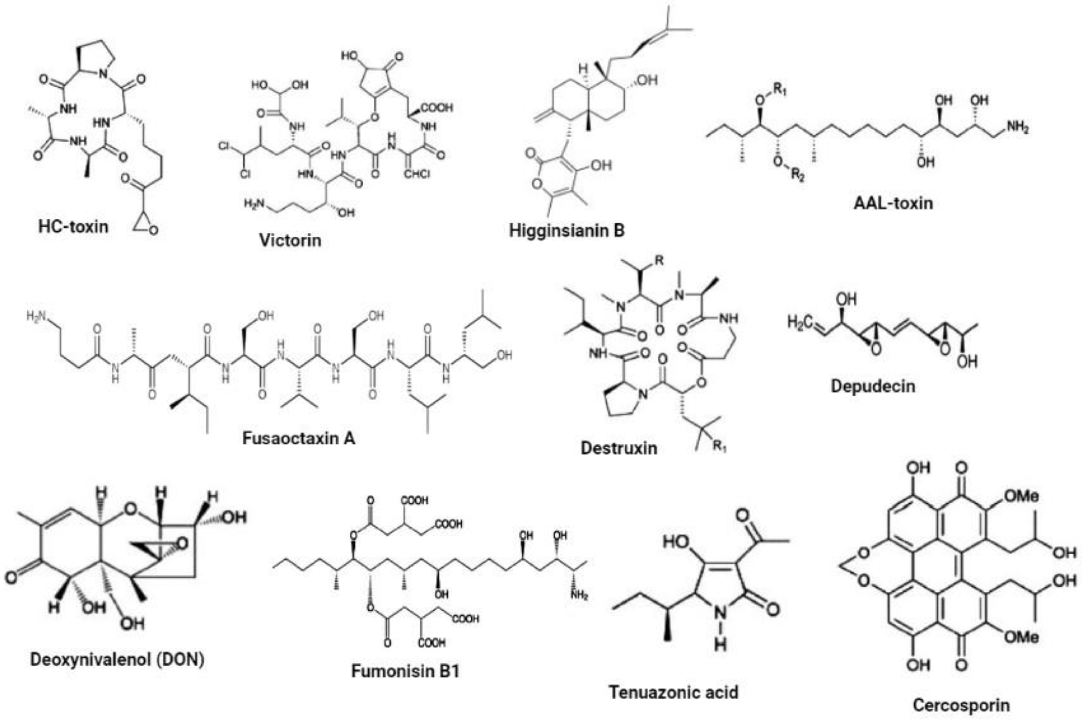 Jof 09 00004 g001 Jof 09 00004 g001