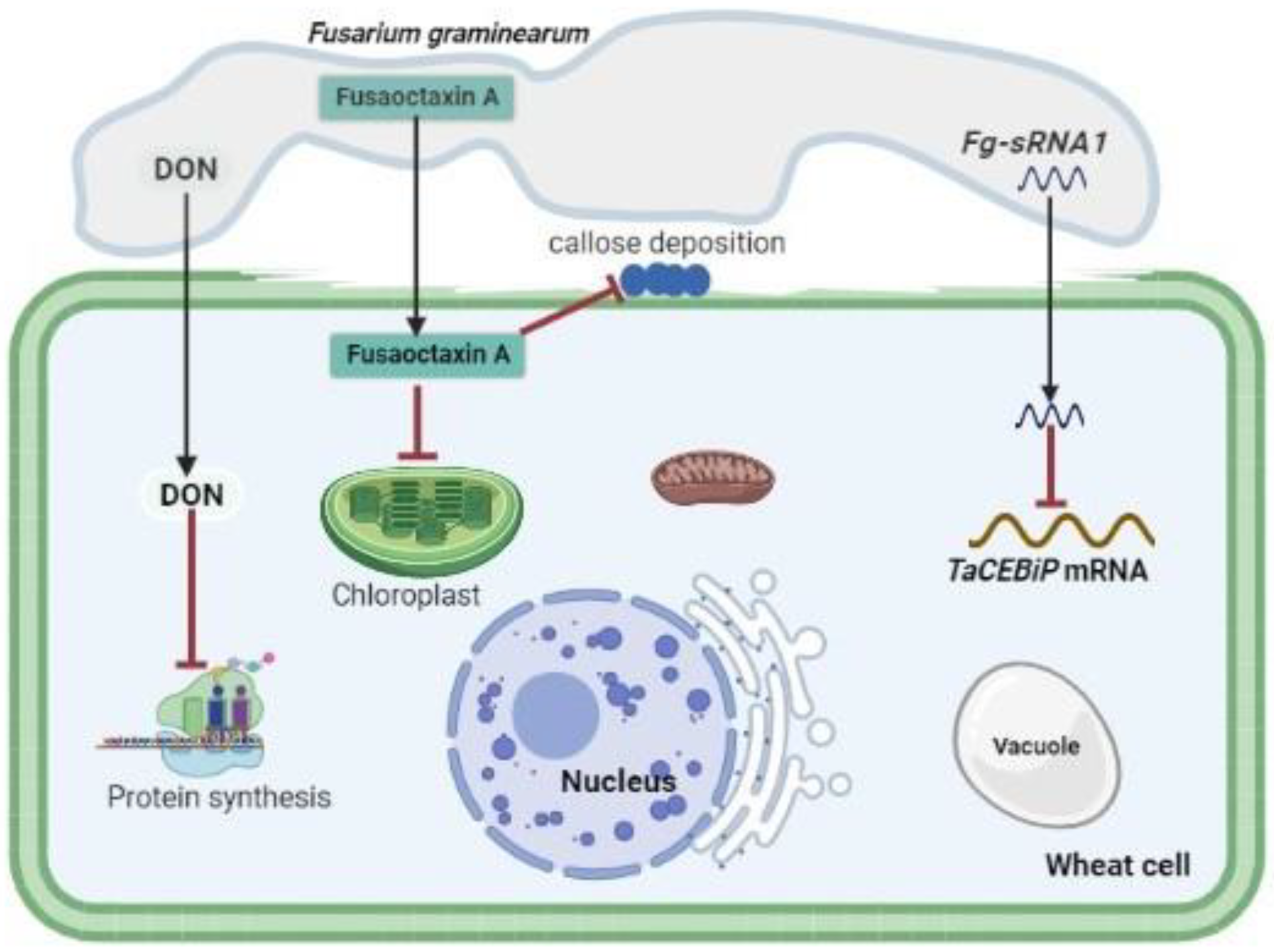 Jof 09 00004 g003 Jof 09 00004 g003