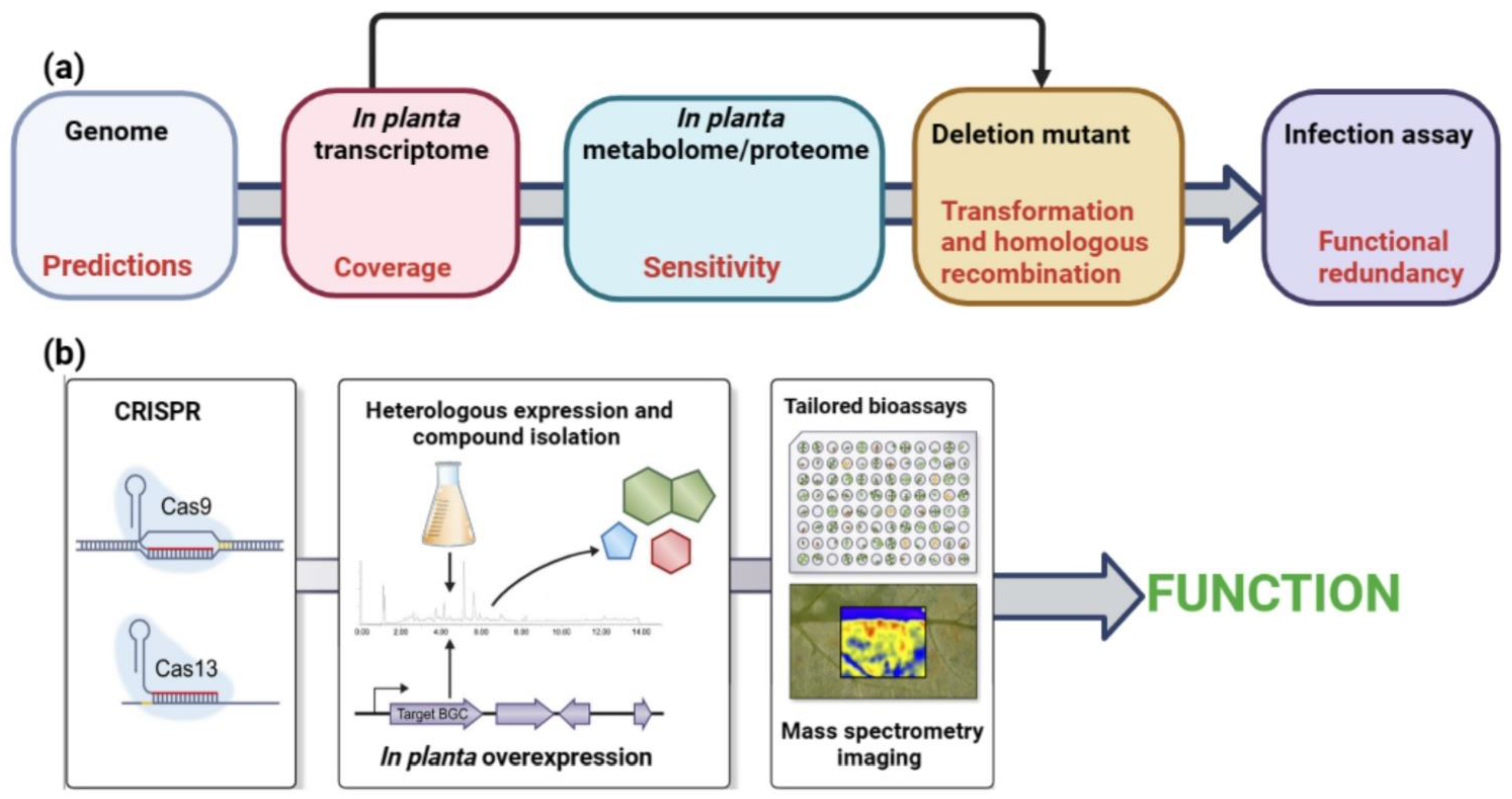 Jof 09 00004 g004 Jof 09 00004 g004