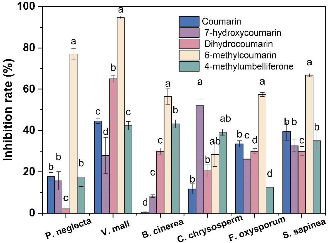 Jof 09 00005 g002 Jof 09 00005 g002