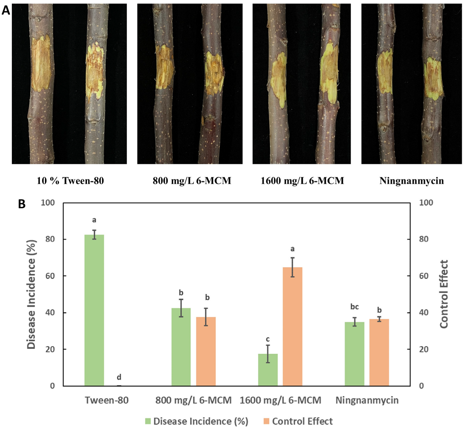 Jof 09 00005 g009 Jof 09 00005 g009