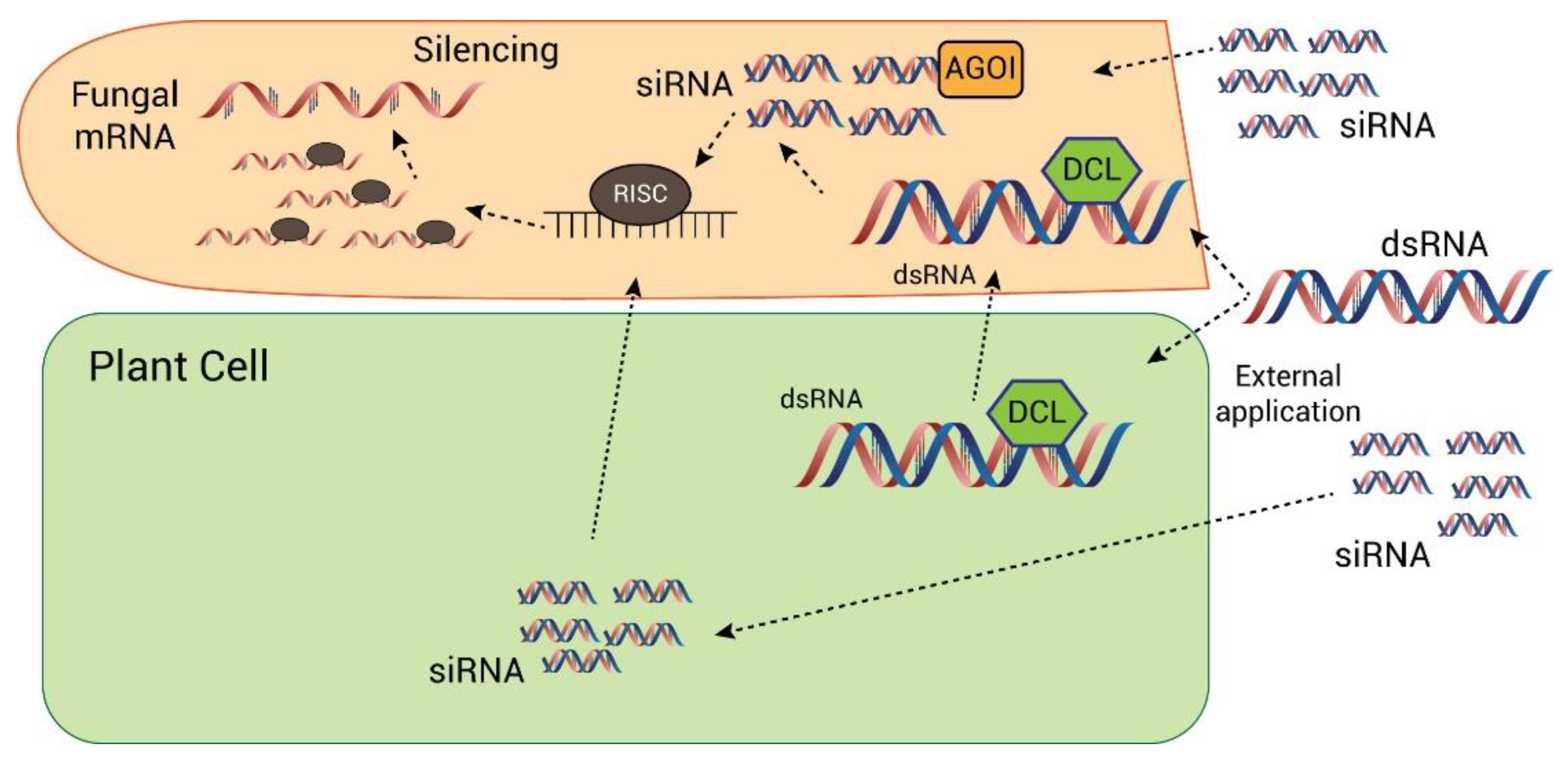 Jof 09 00010 g003 Jof 09 00010 g003