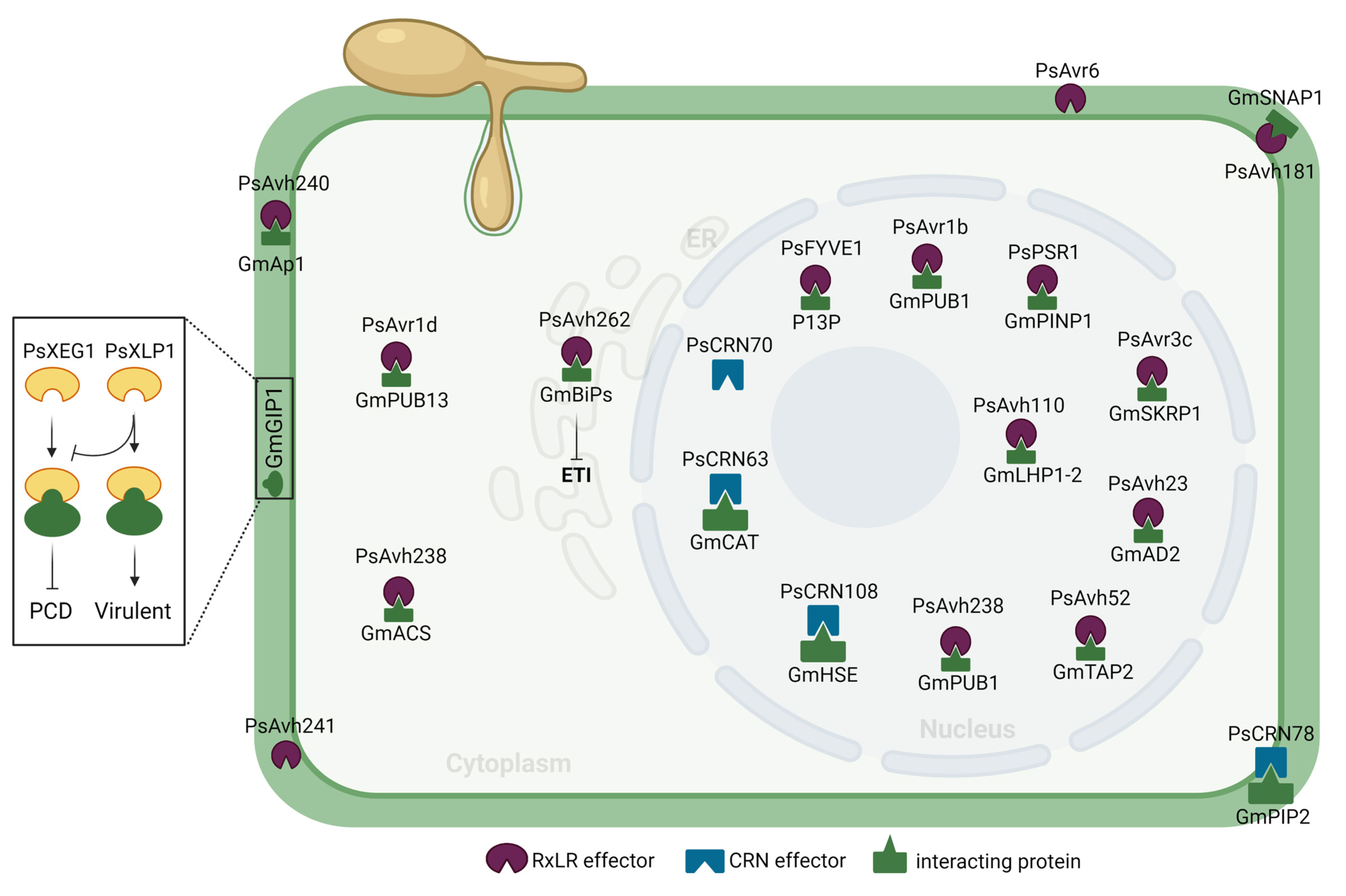 Jof 09 00012 g002 Jof 09 00012 g002