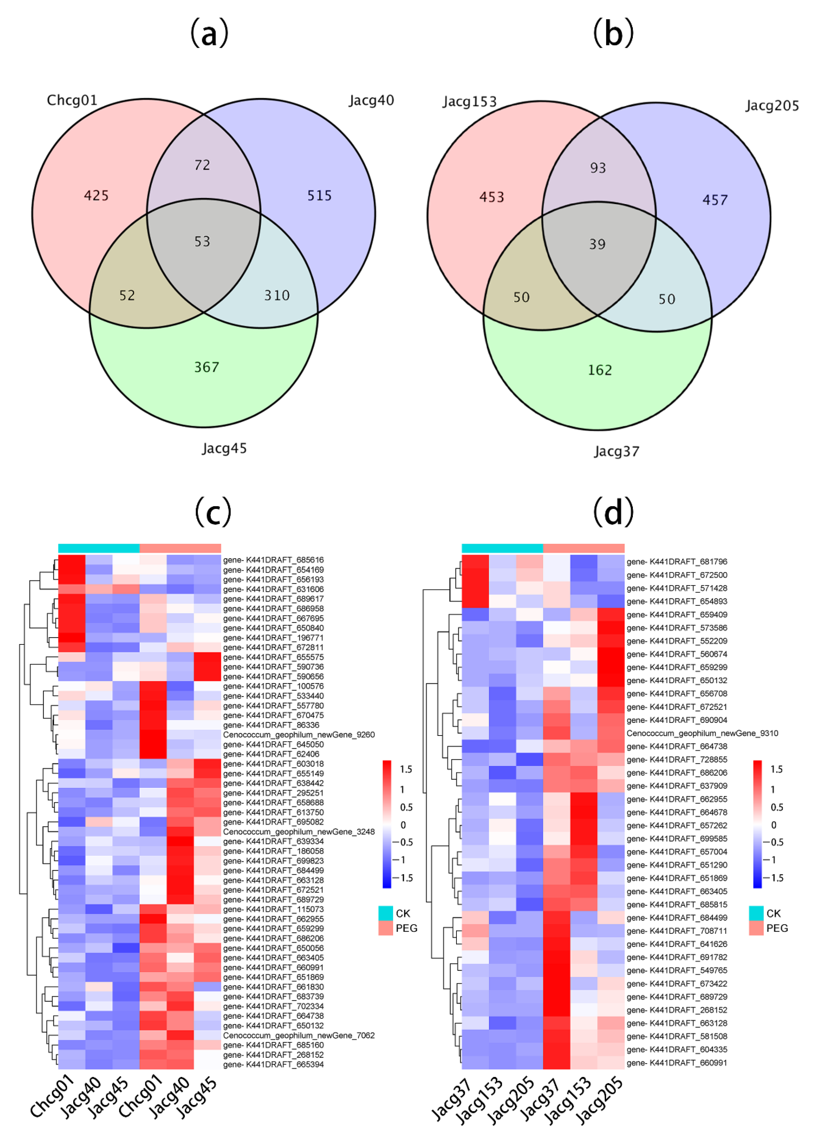 Jof 09 00015 g005 Jof 09 00015 g005