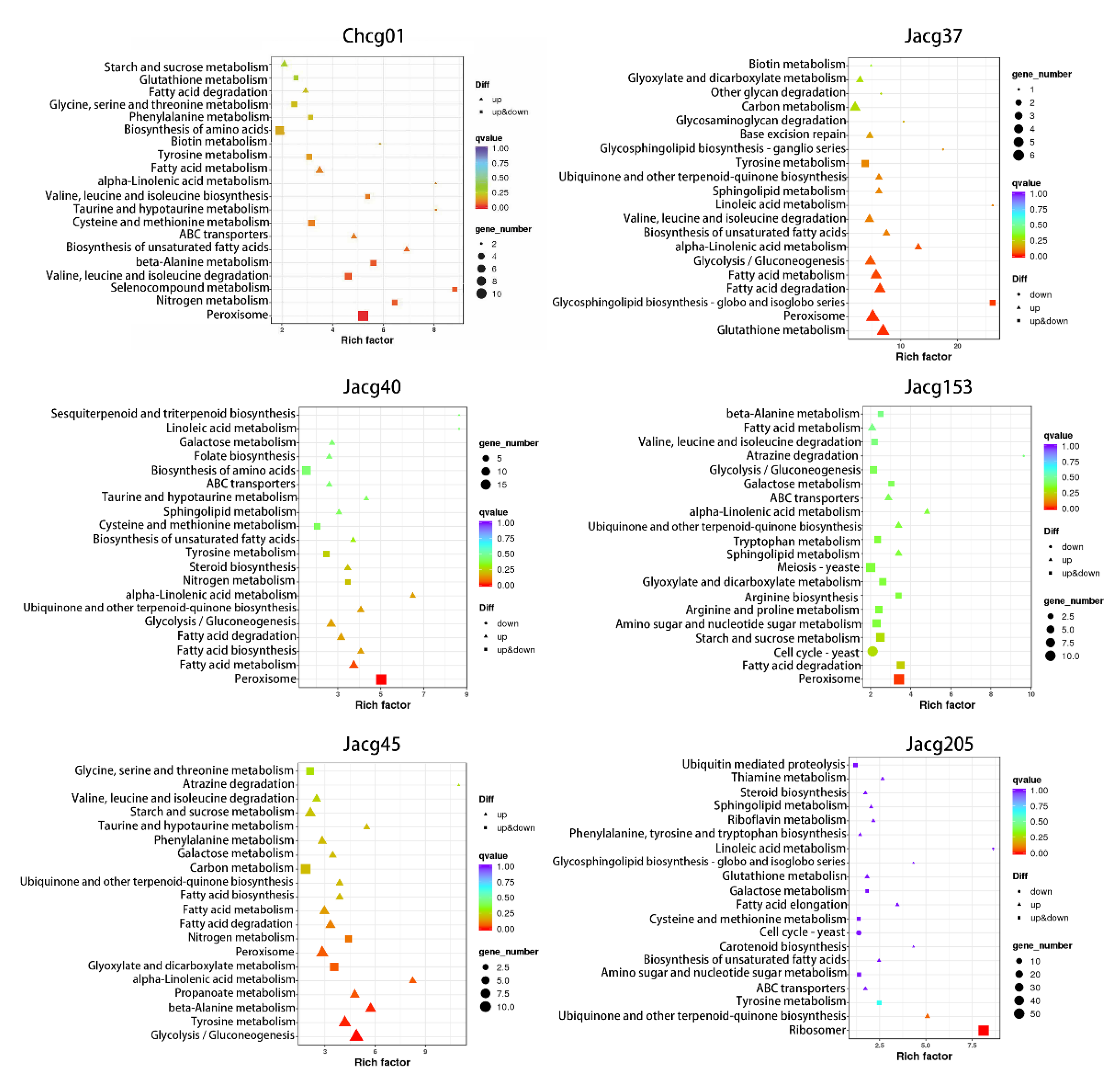 Jof 09 00015 g007 Jof 09 00015 g007