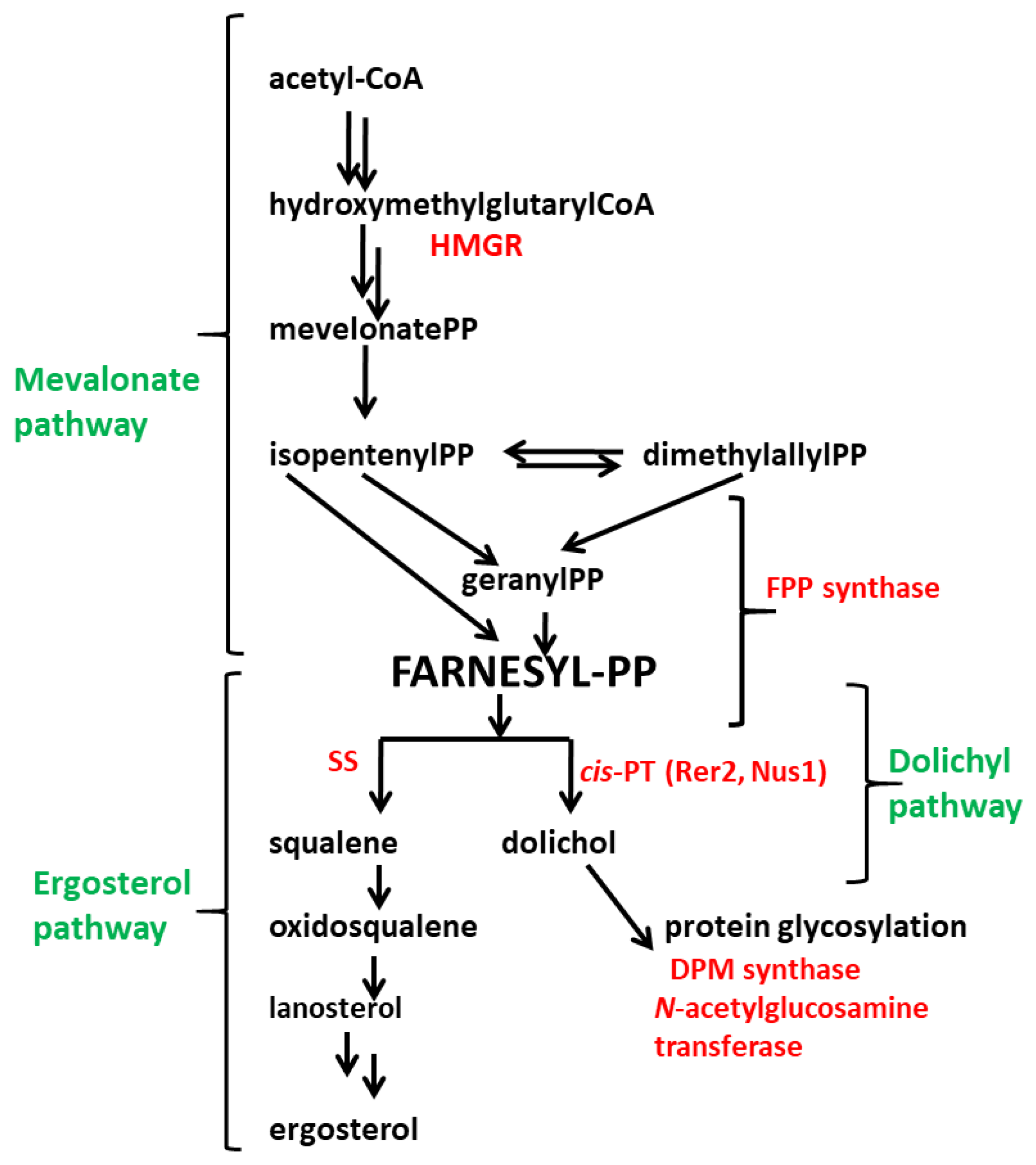 Jof 09 00038 g001 Jof 09 00038 g001
