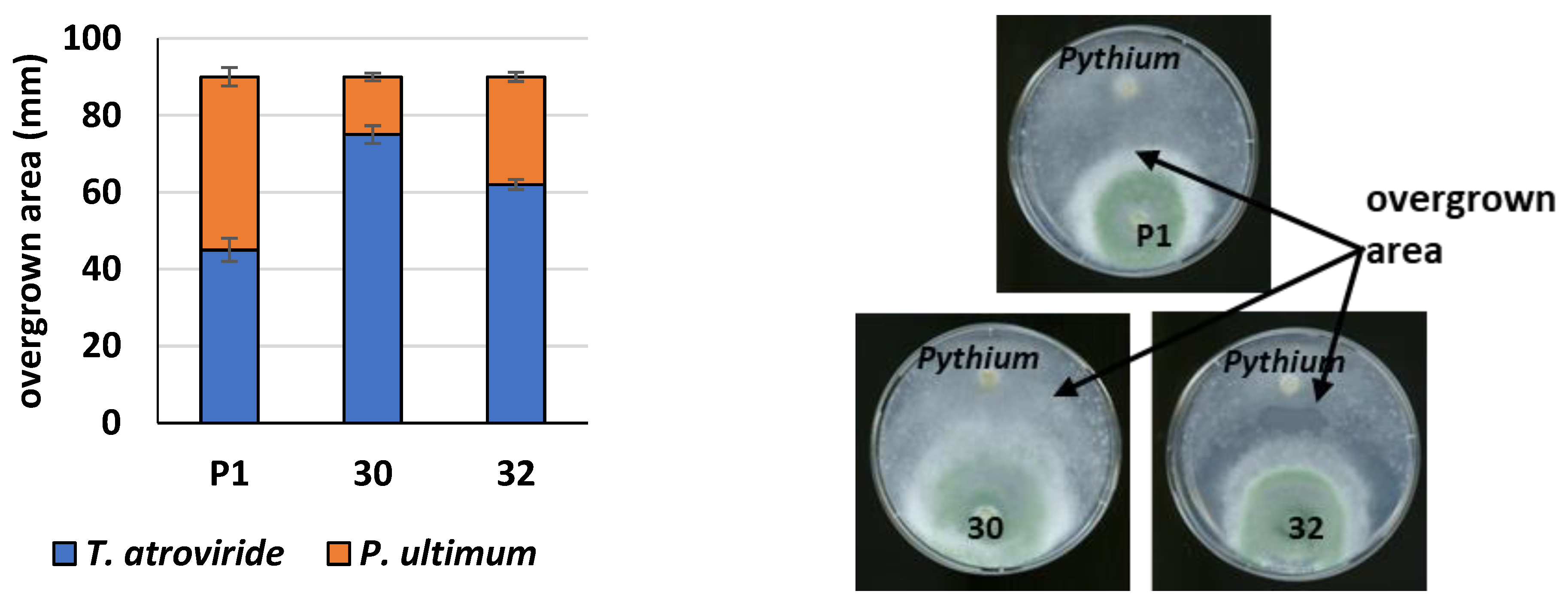 Jof 09 00038 g009 Jof 09 00038 g009