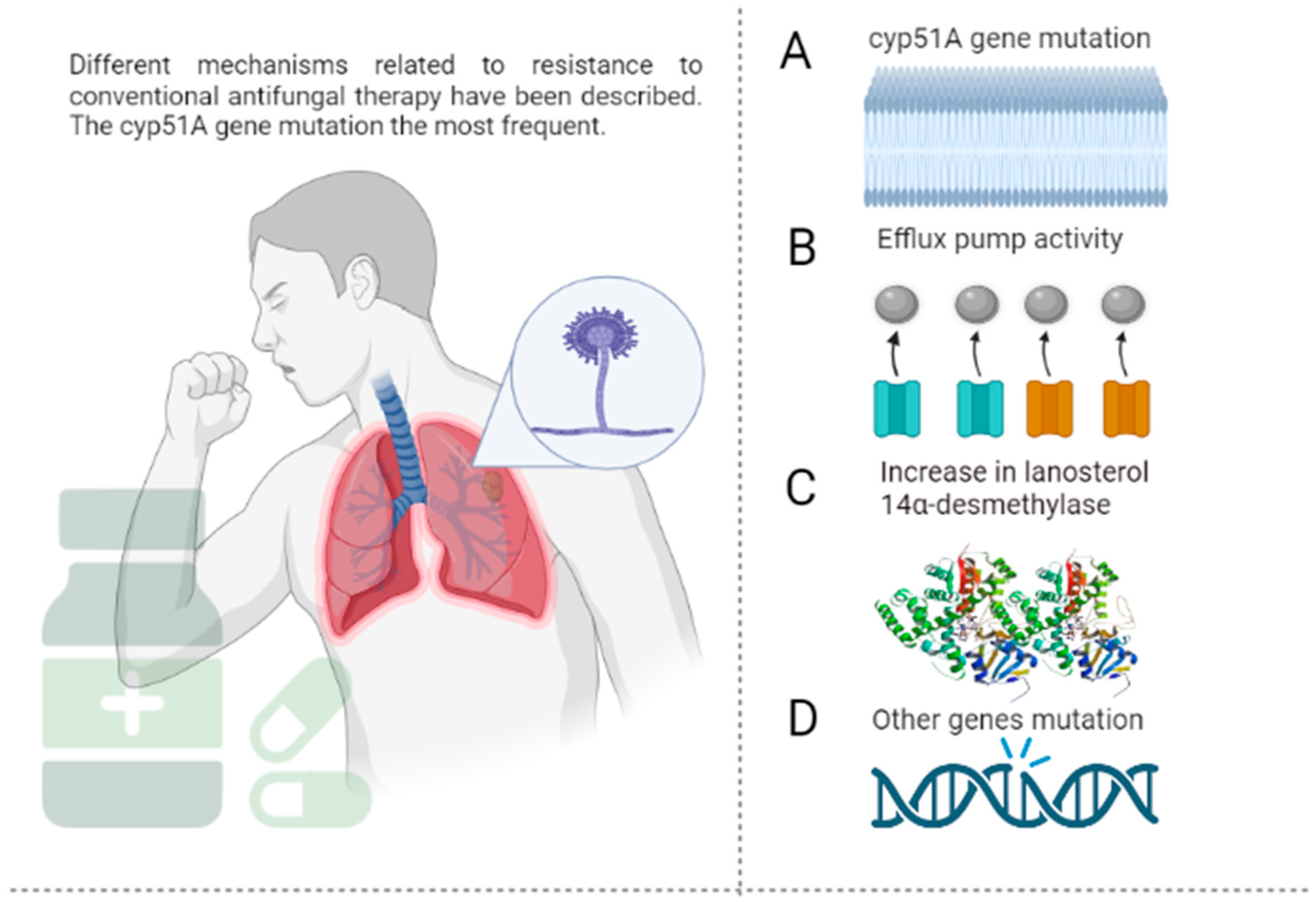 Jof 09 00042 g001 Jof 09 00042 g001